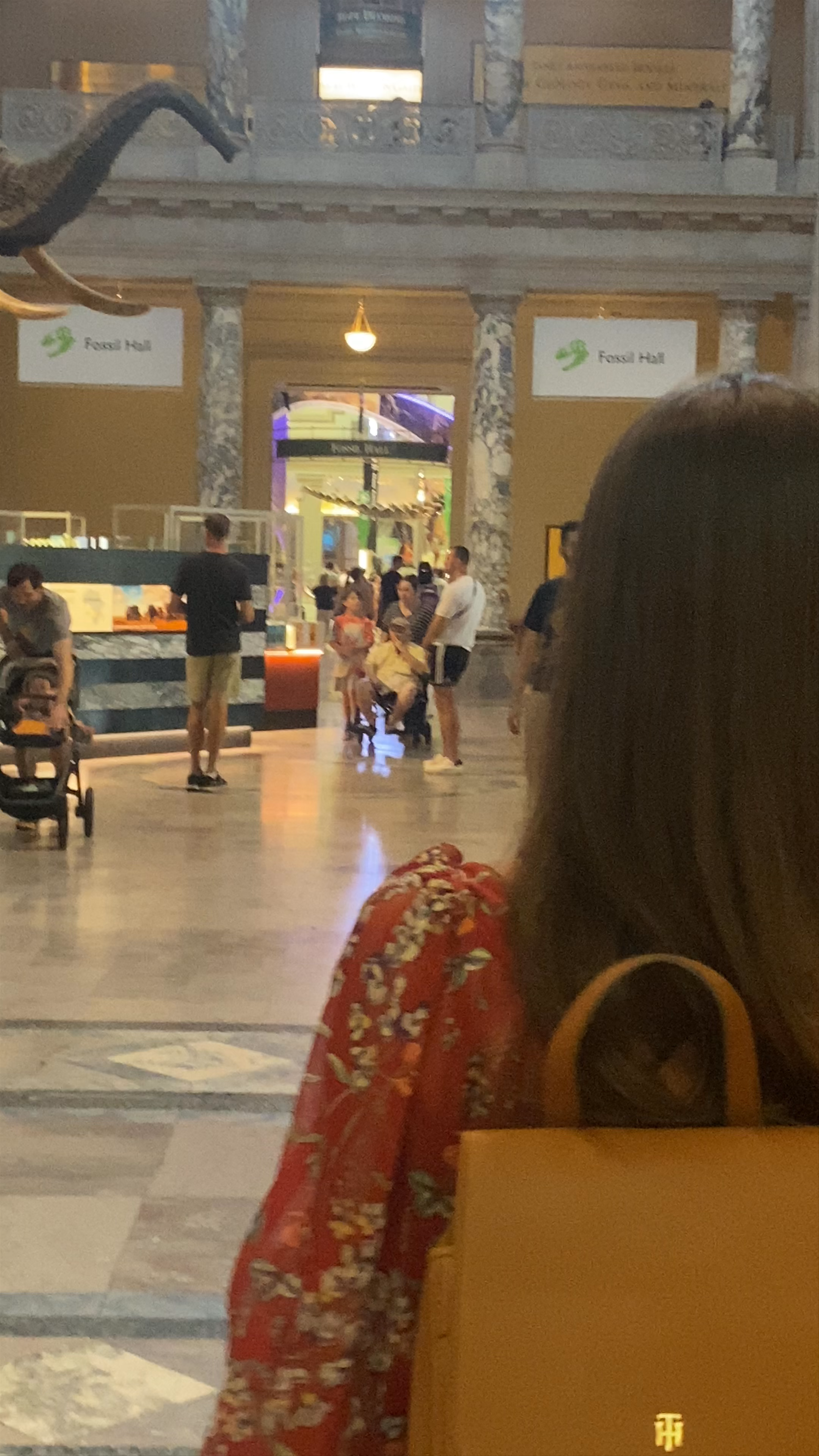 Explore Smithsonian National Museum of Natural History in Washington DC