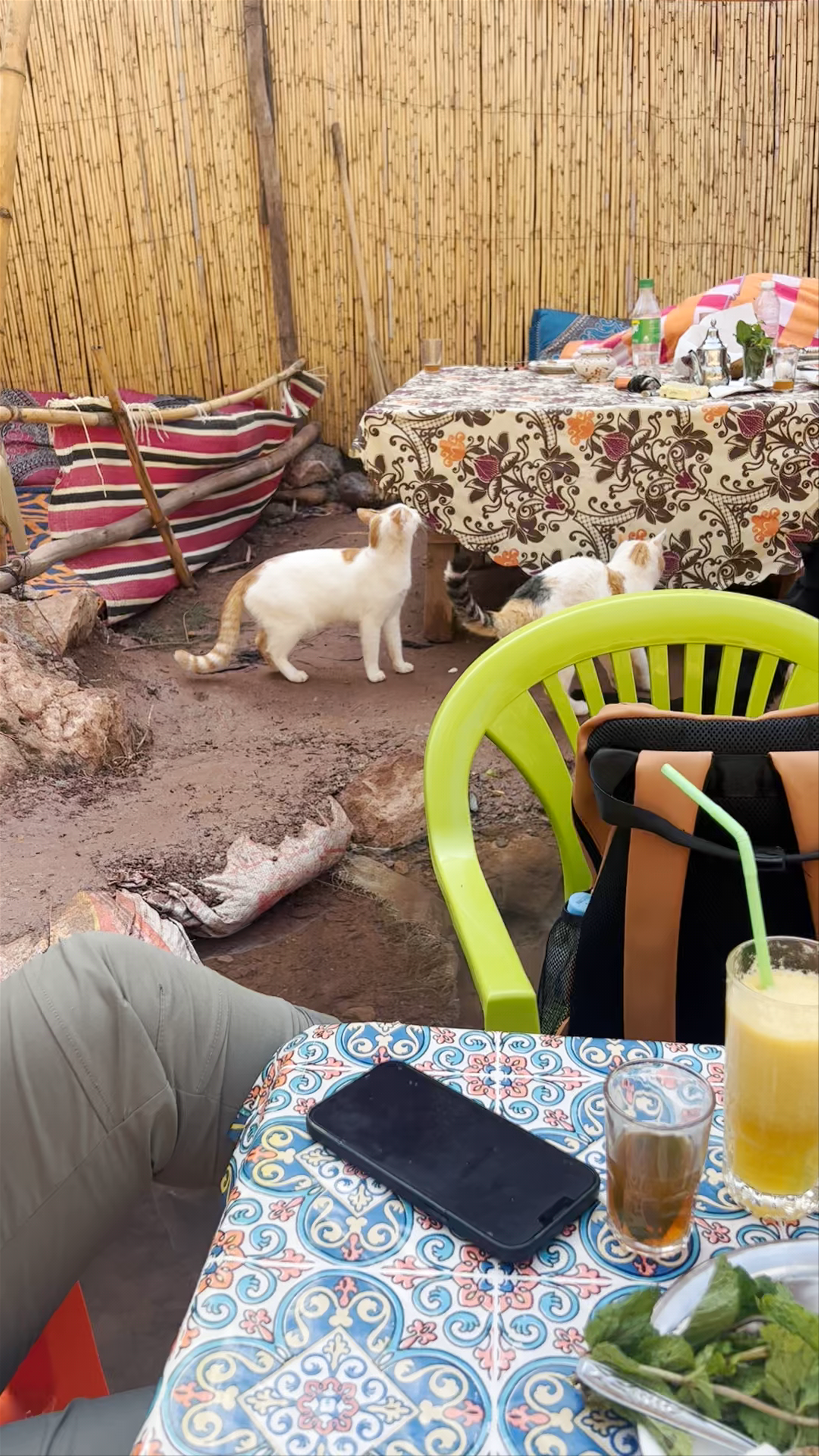 Paradise Valley Agadir