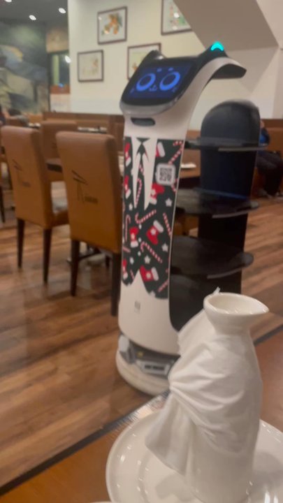Tian Tian - A robot server! It brought to go orders from the kitchen to the front! Crazy but cool! - Dim Sum Near Me - Dallas, Texas