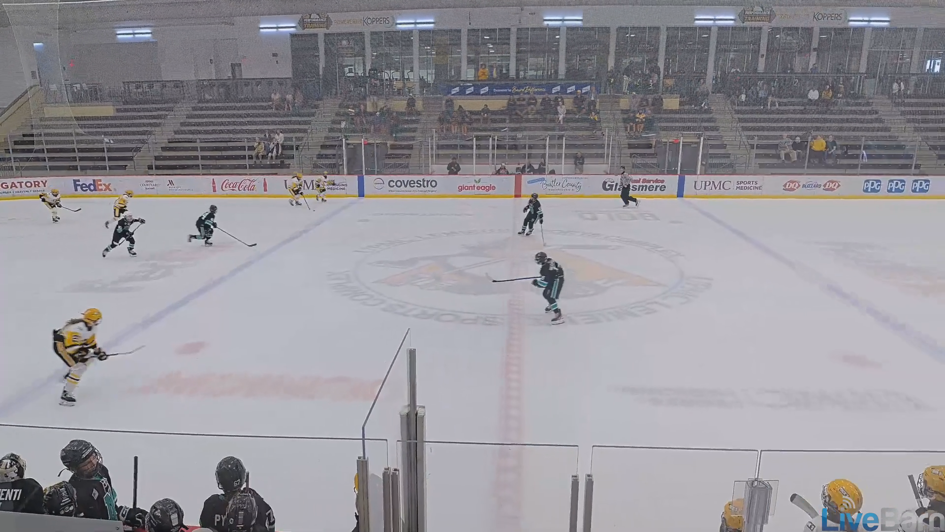 Ava Franus: Elite Defensive Plays & Goals with Penguins 14U