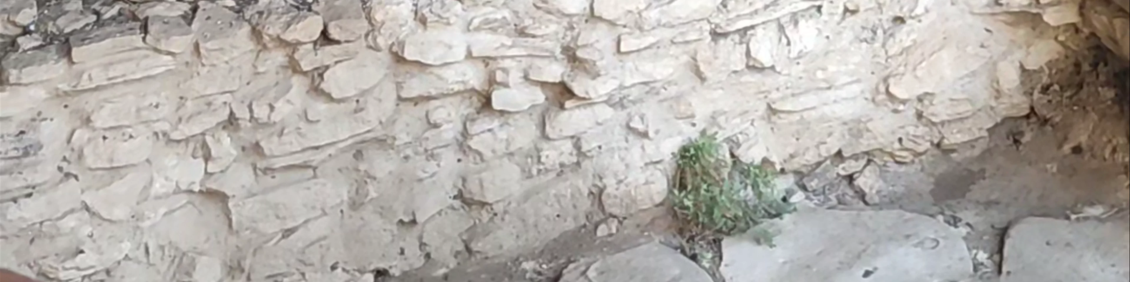 Cueva de la Serreta