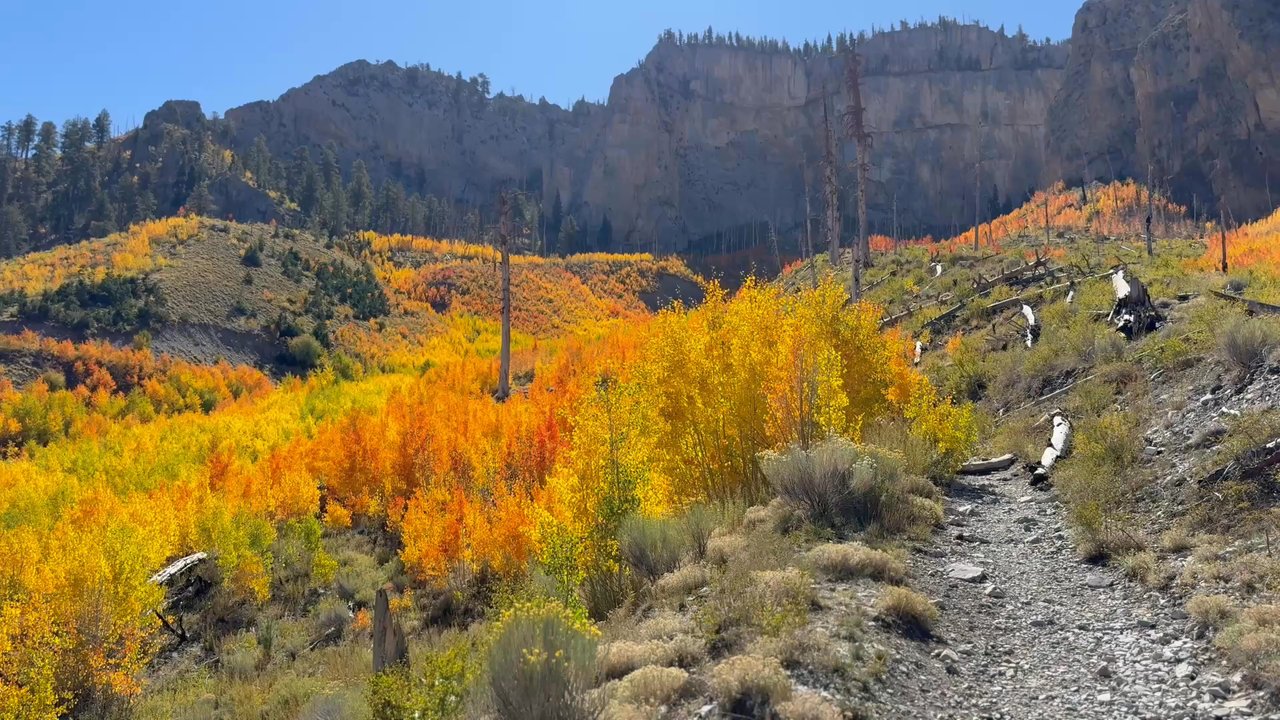 Cathedral Rock - Today October 1st 2025, leaves are turning on this trail right now and absolutely gorgeous. - Hiking Near Me - Mt Charleston, Nevada
