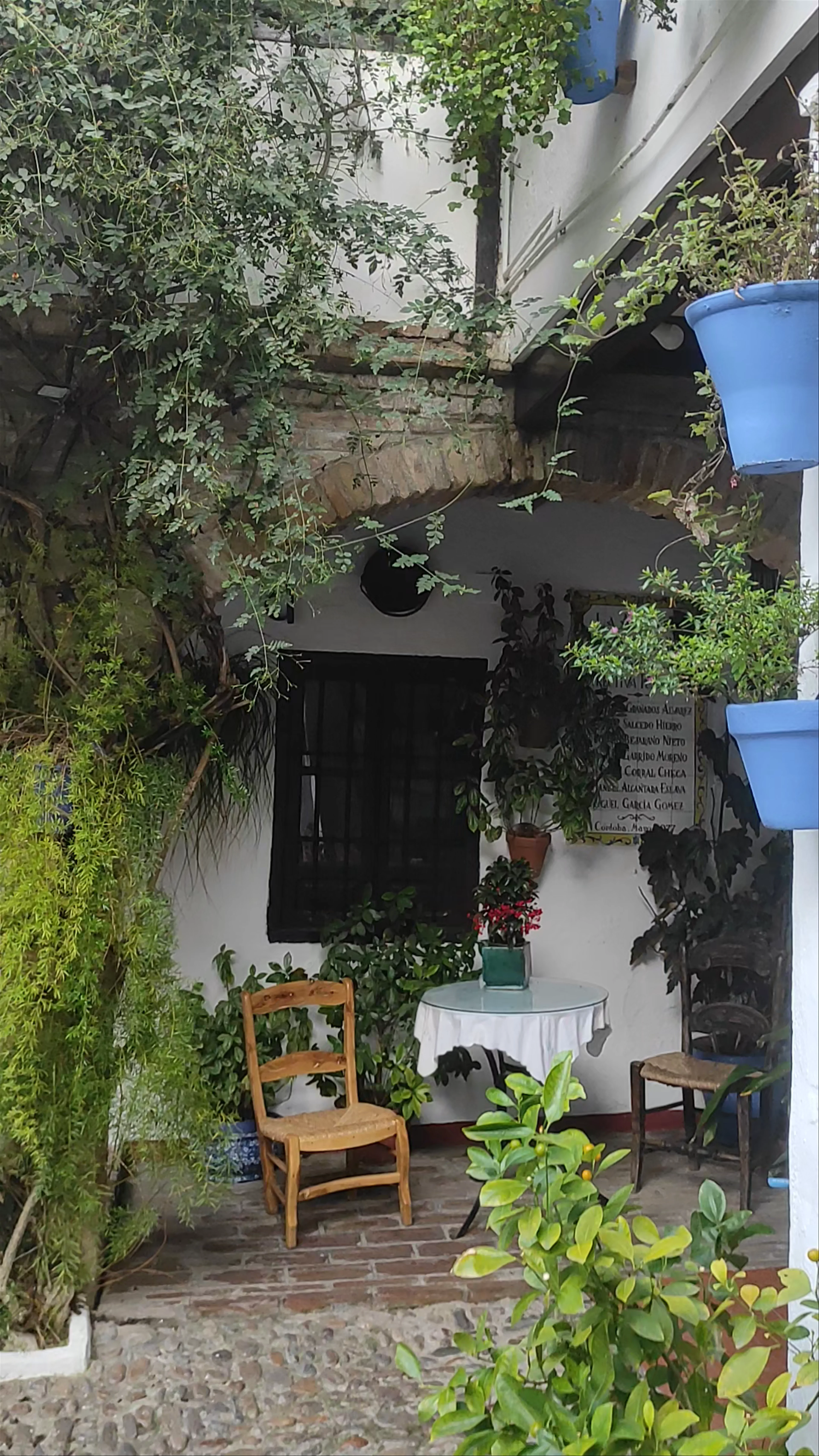Patios Cordobeses, Calle D San Basilio