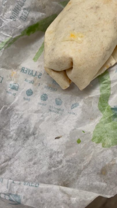 Taco Bell - Bug in burrito!! - Fast Food Near Me - Natchitoches, Louisiana