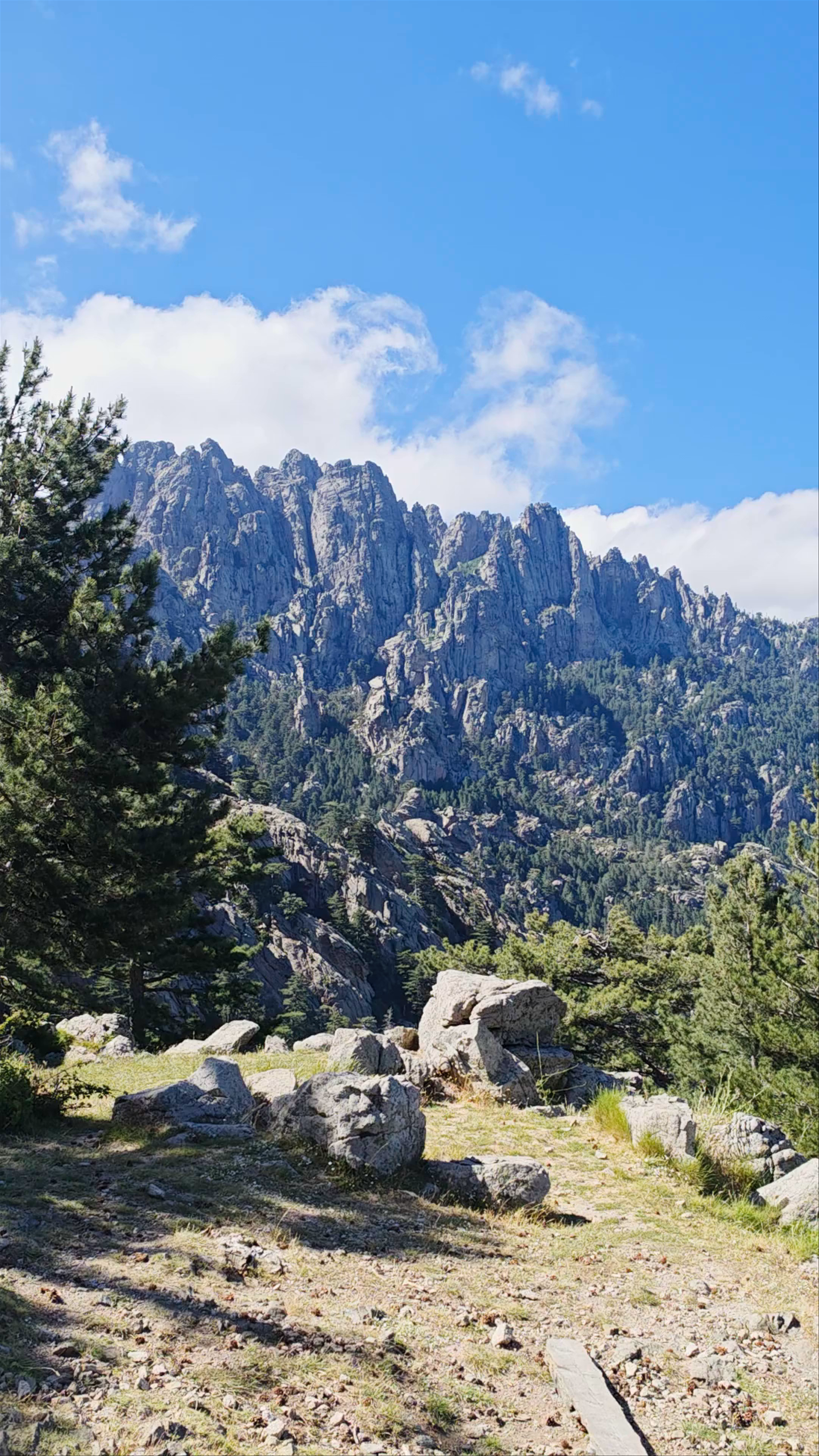 Belvédère - Affaccatoghju