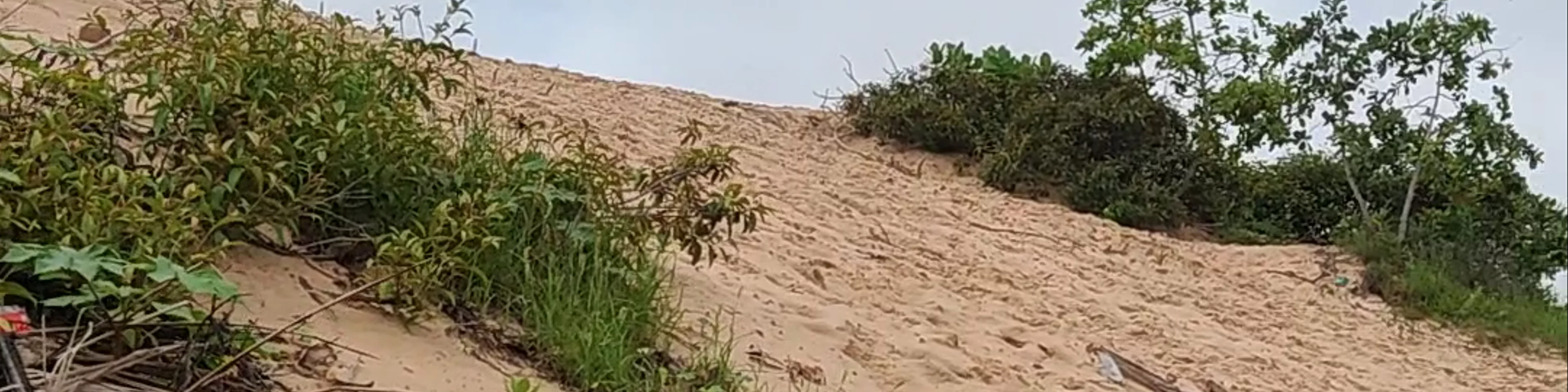 Dunas urbanas - Avenida Beira Rio
