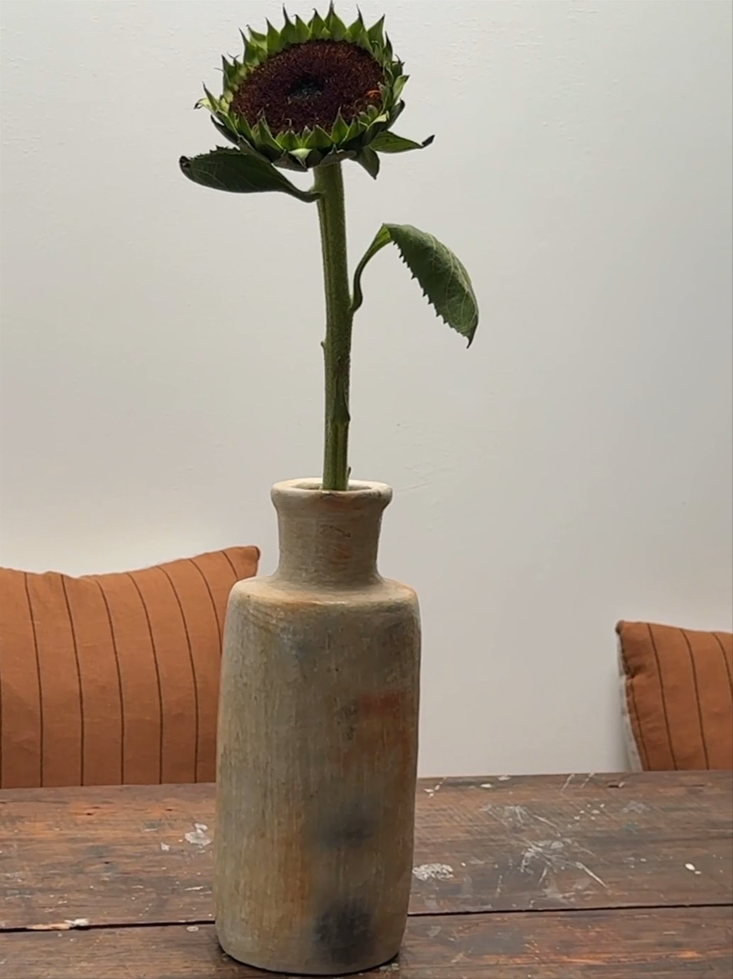 Gafsa Natural Vase