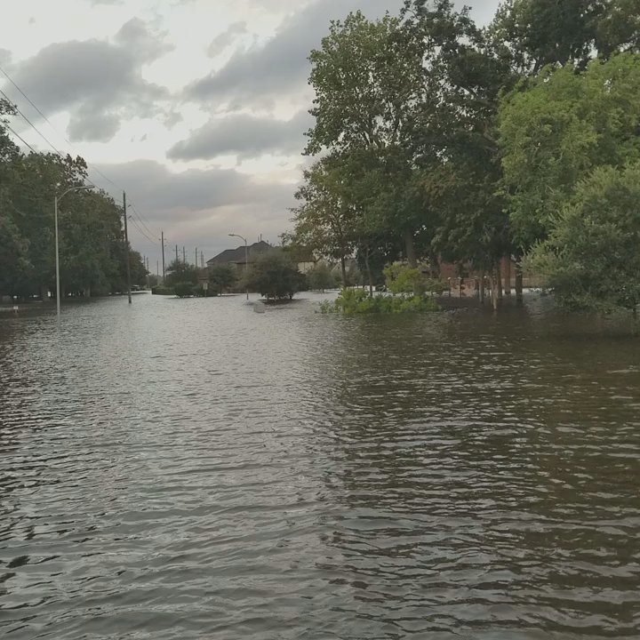Johnson Development Corporation - Real Estate Services Near Me - Houston, Texas