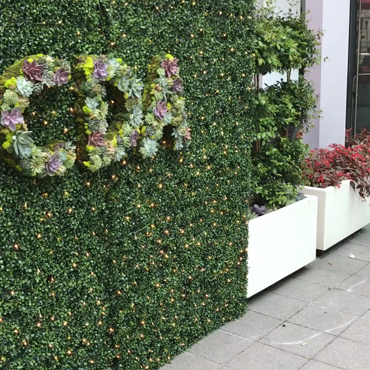 CDA - Outside patio - French Near Me - Chicago, Illinois