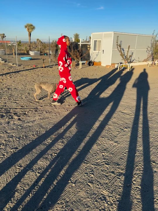 TLC K9 Training - Violet requested whole family come on check out so all are trained and aware of how to handle and maintain the dog training. Love it! - Pet Training Near Me