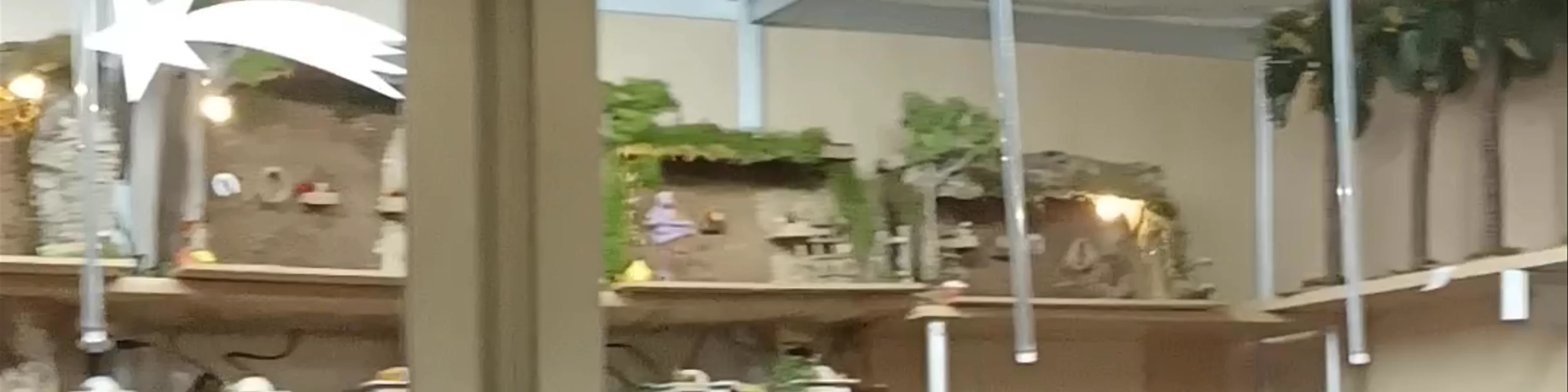 Muestra de Artesanía Navidad
