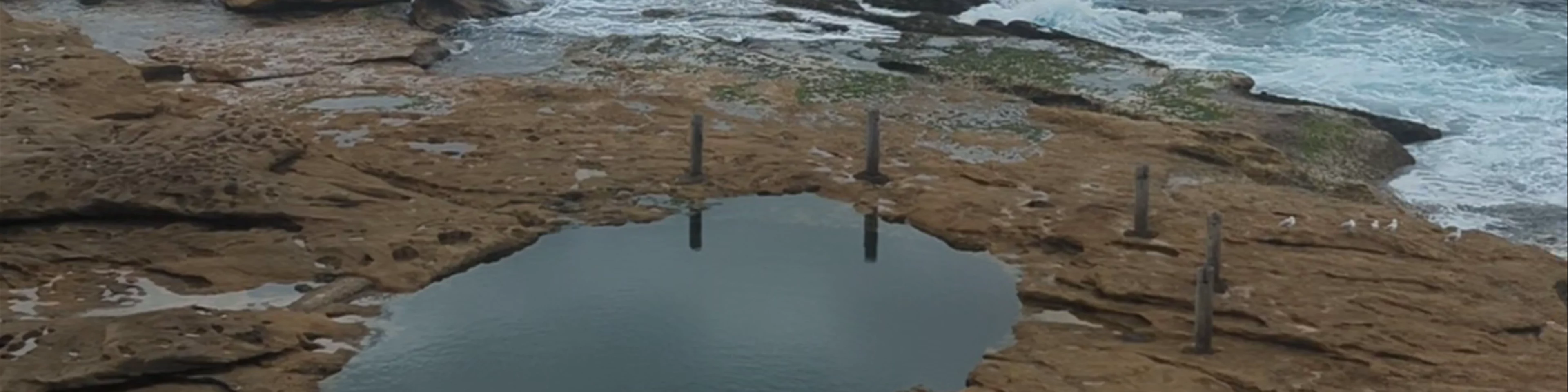 Ivo Rowe Rock Pool