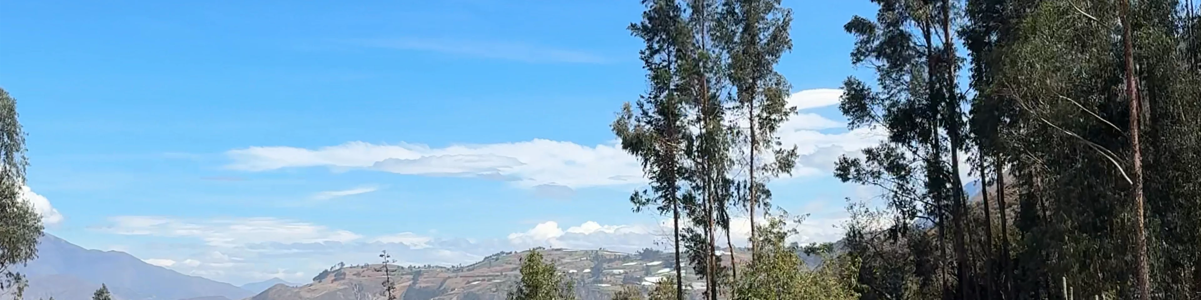 santa cruz casha
