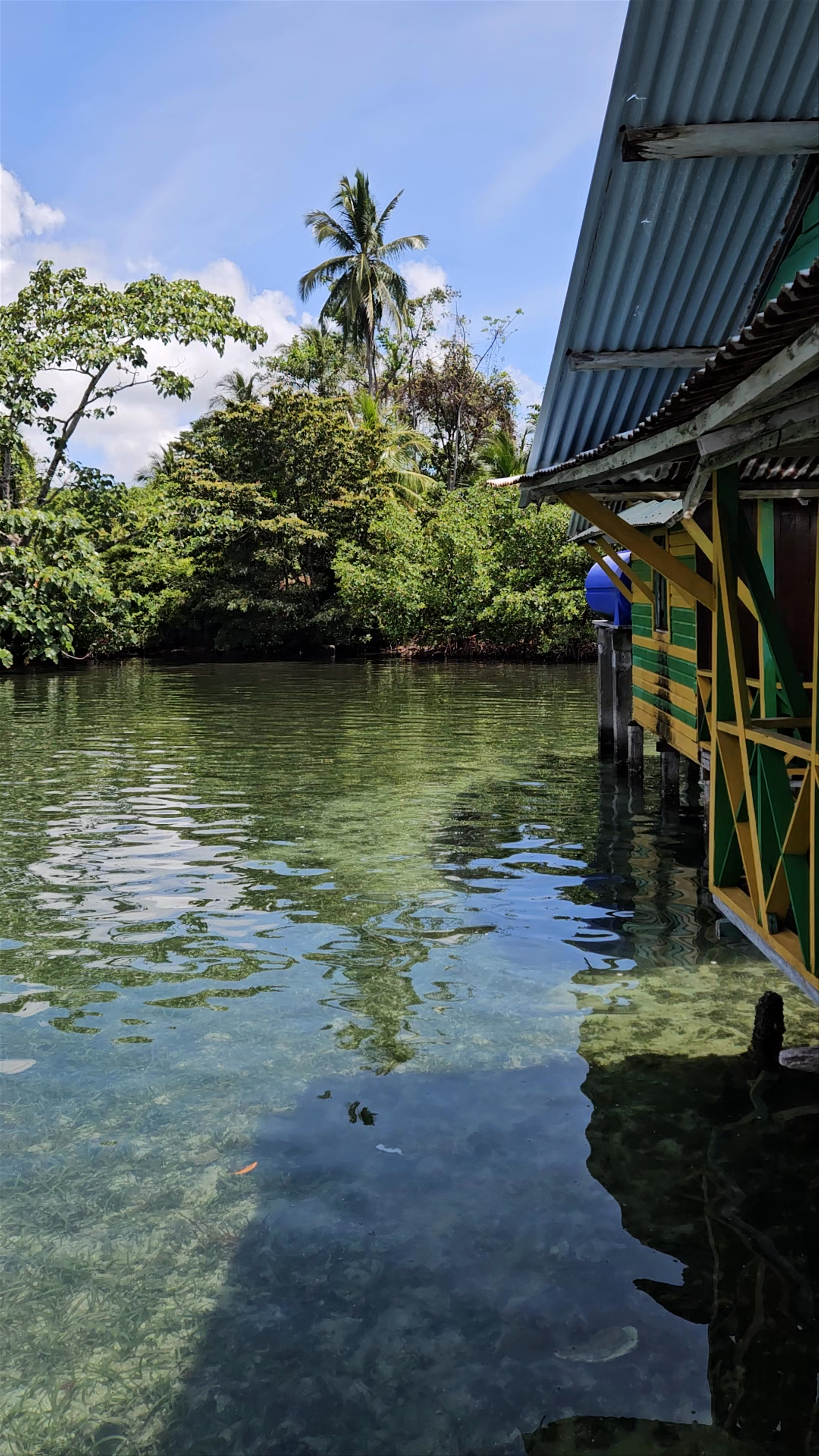 Serene Waters of Cayo Coral, Bastimentos Island, Panama