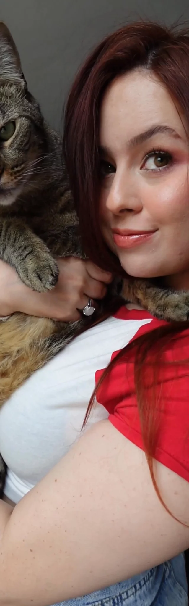 El mejor snack para tus gatos