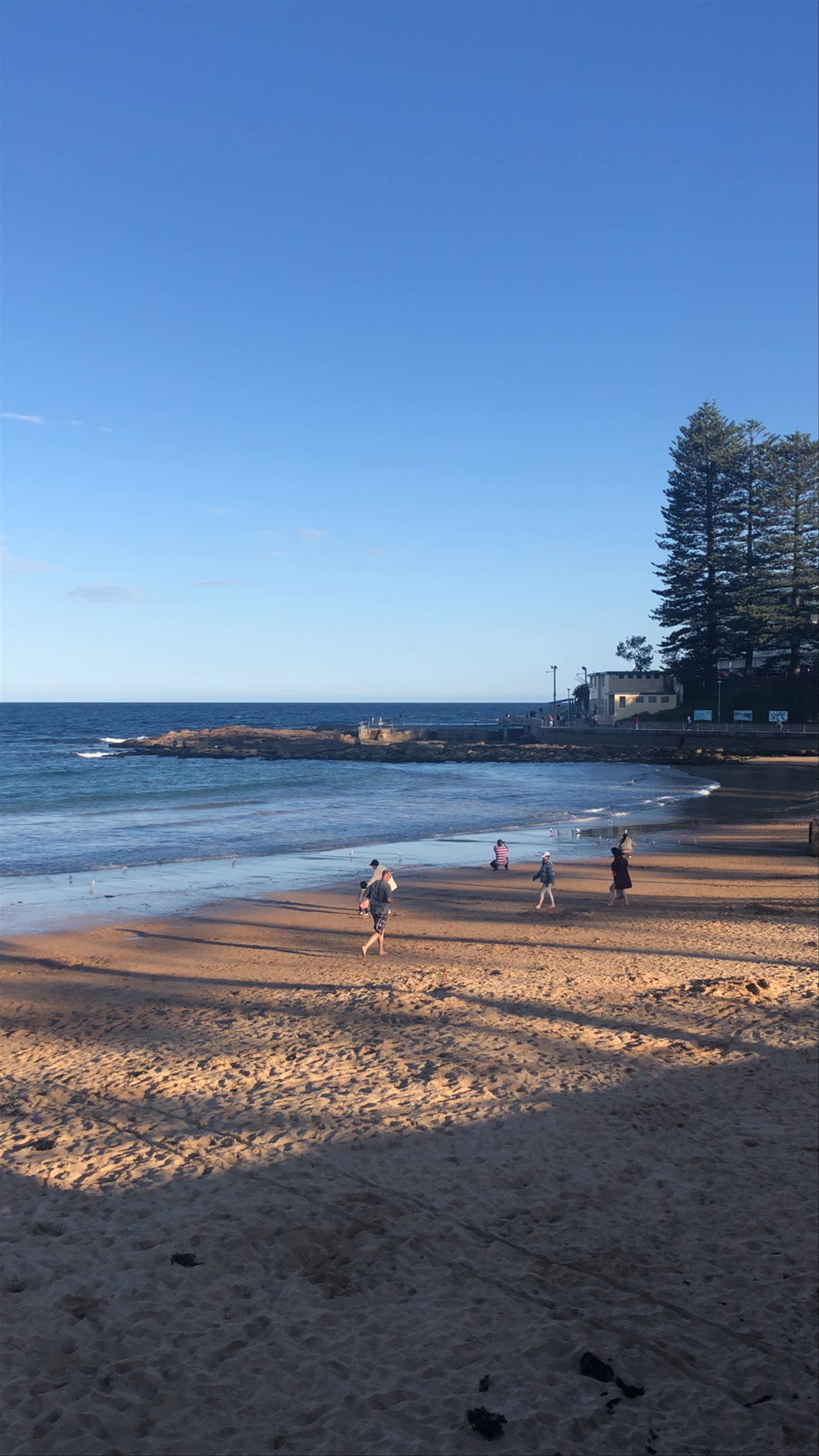 Dee Why Beach