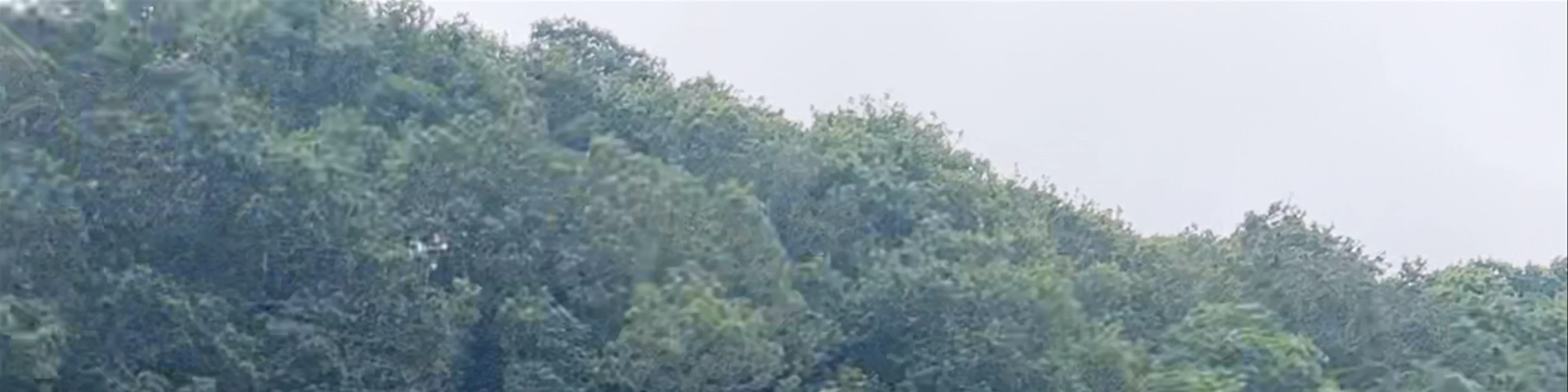 Helford River