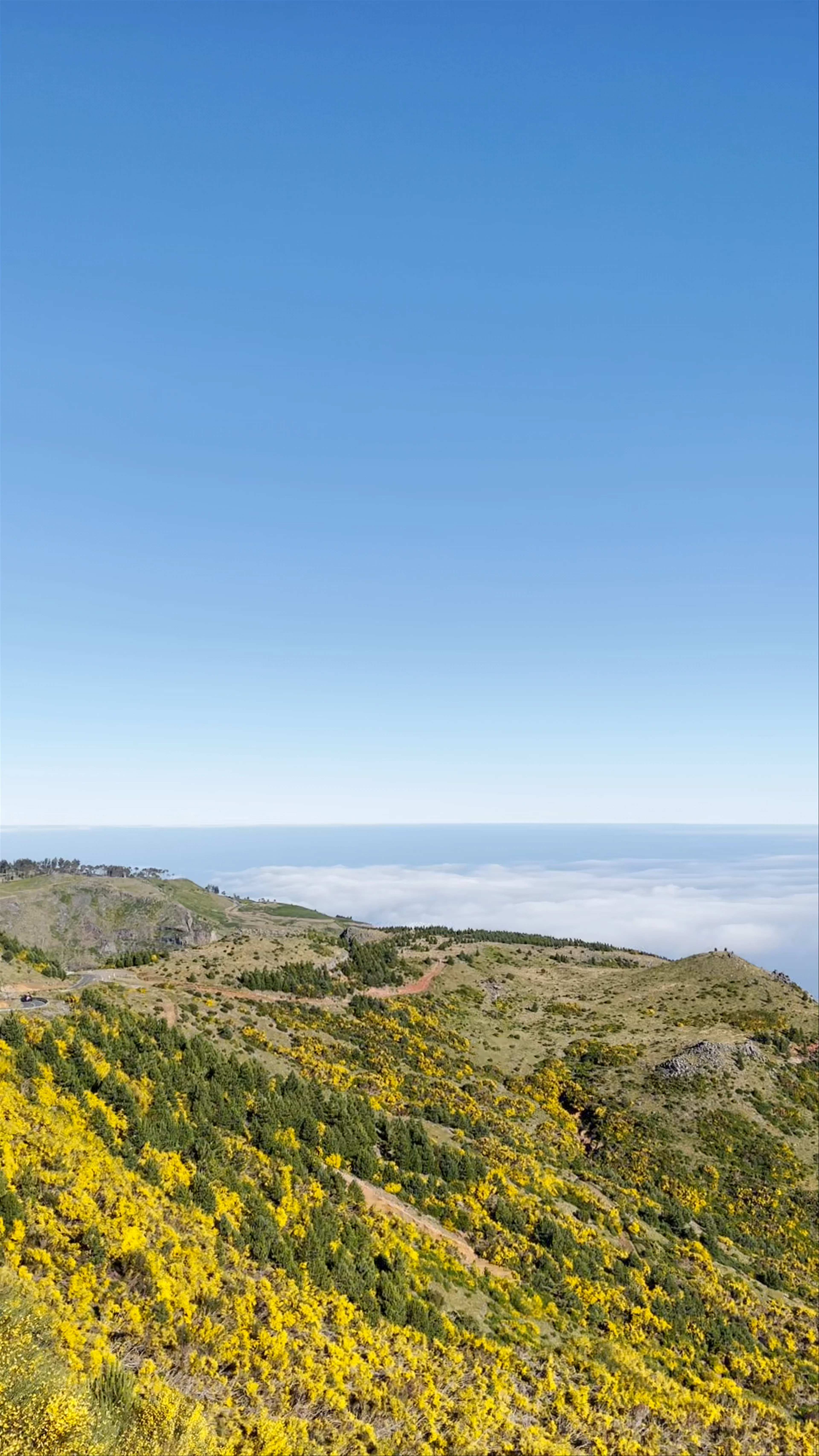 Miradouro da Negra