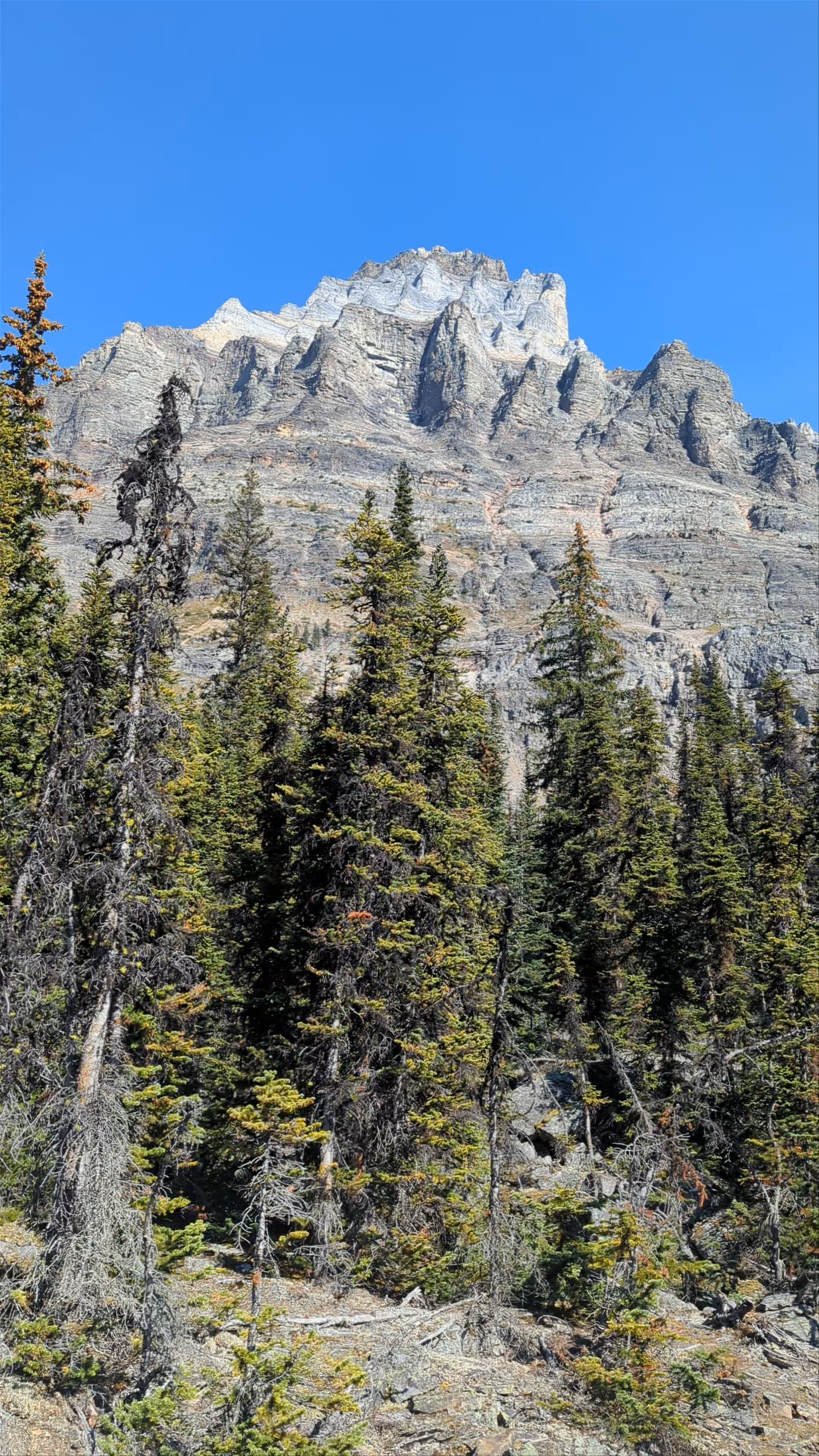 Lake O'Hara