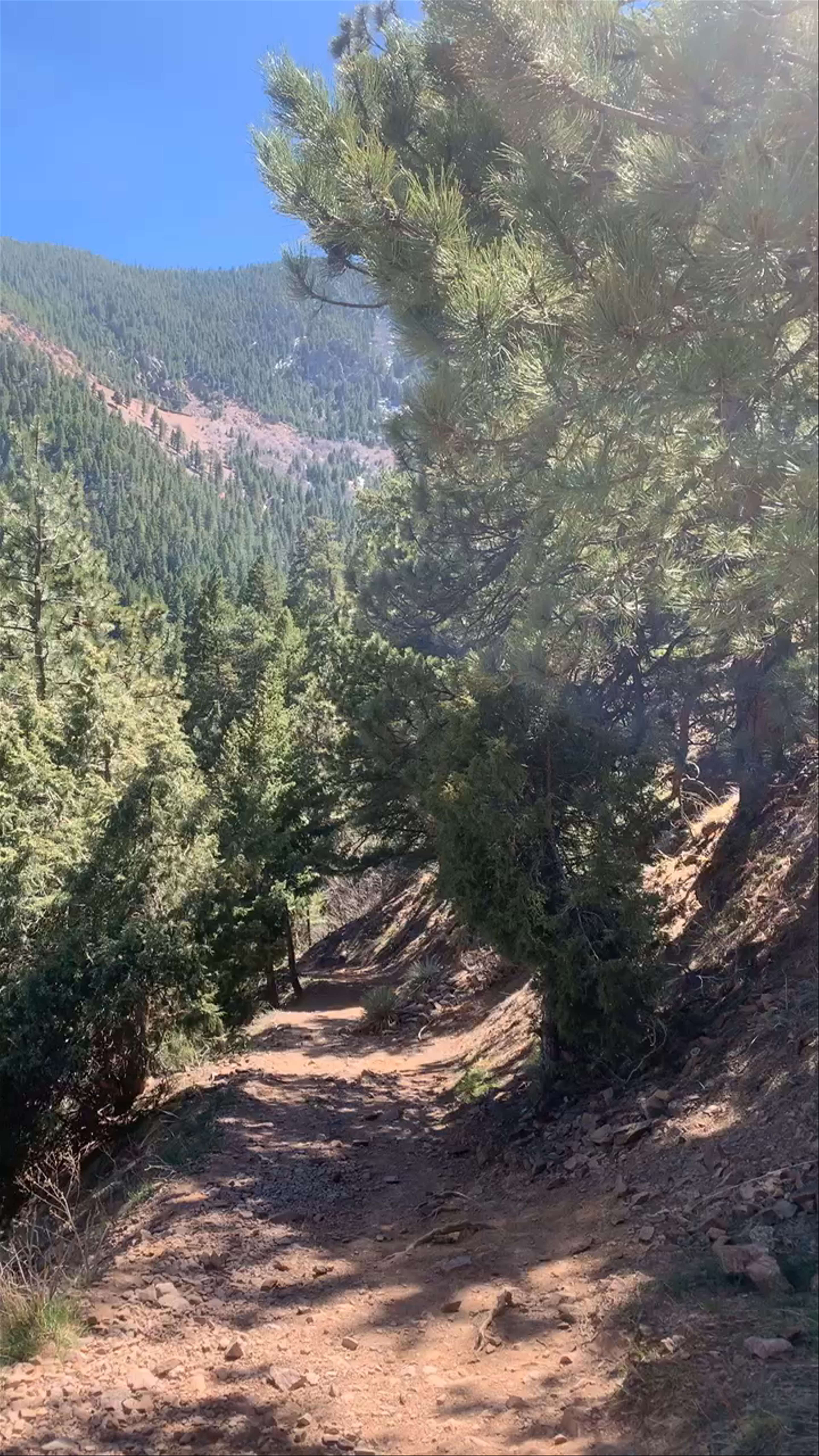 Rattlesnake Gulch Trail, Boulder, CO