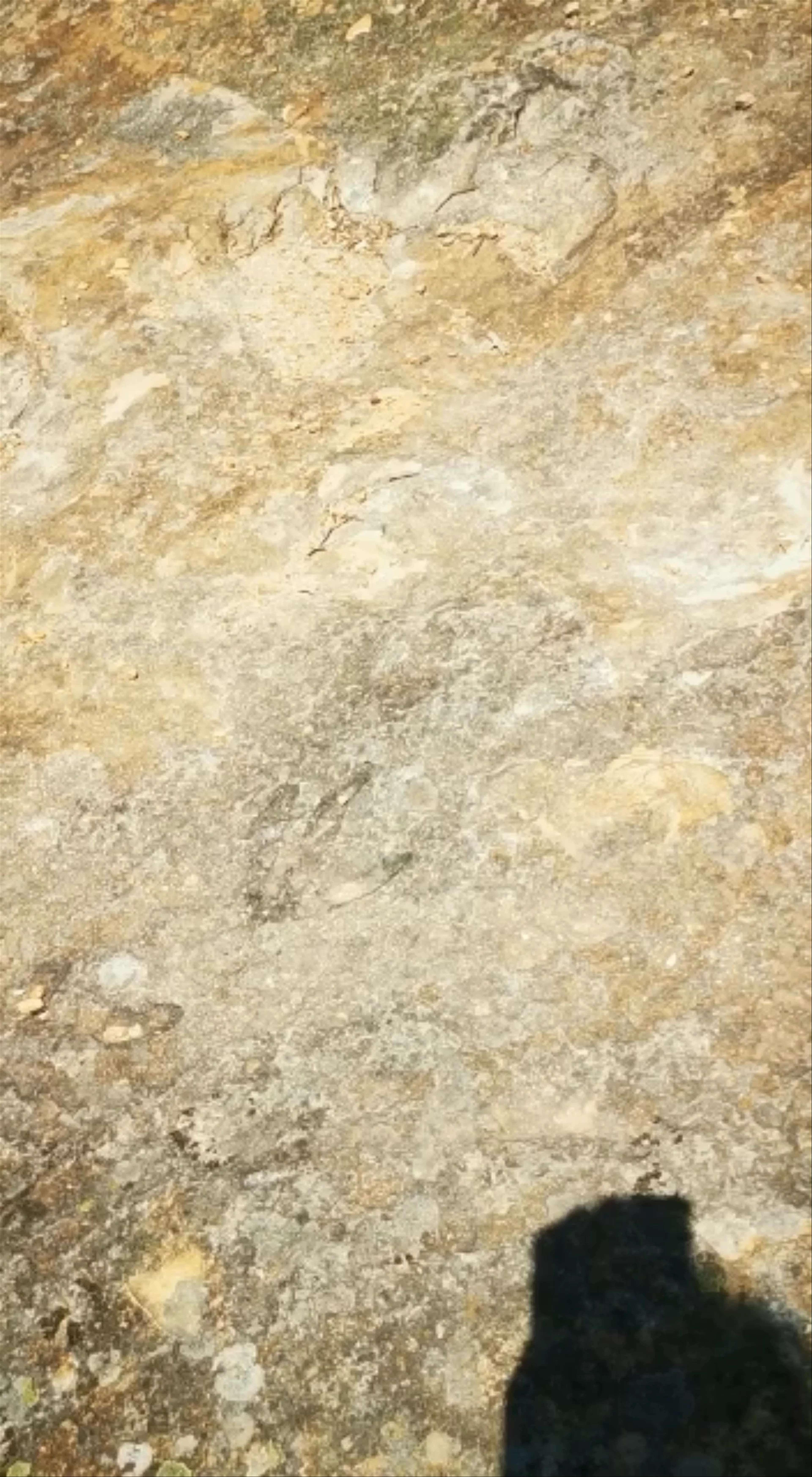 Regumiel de la Sierra