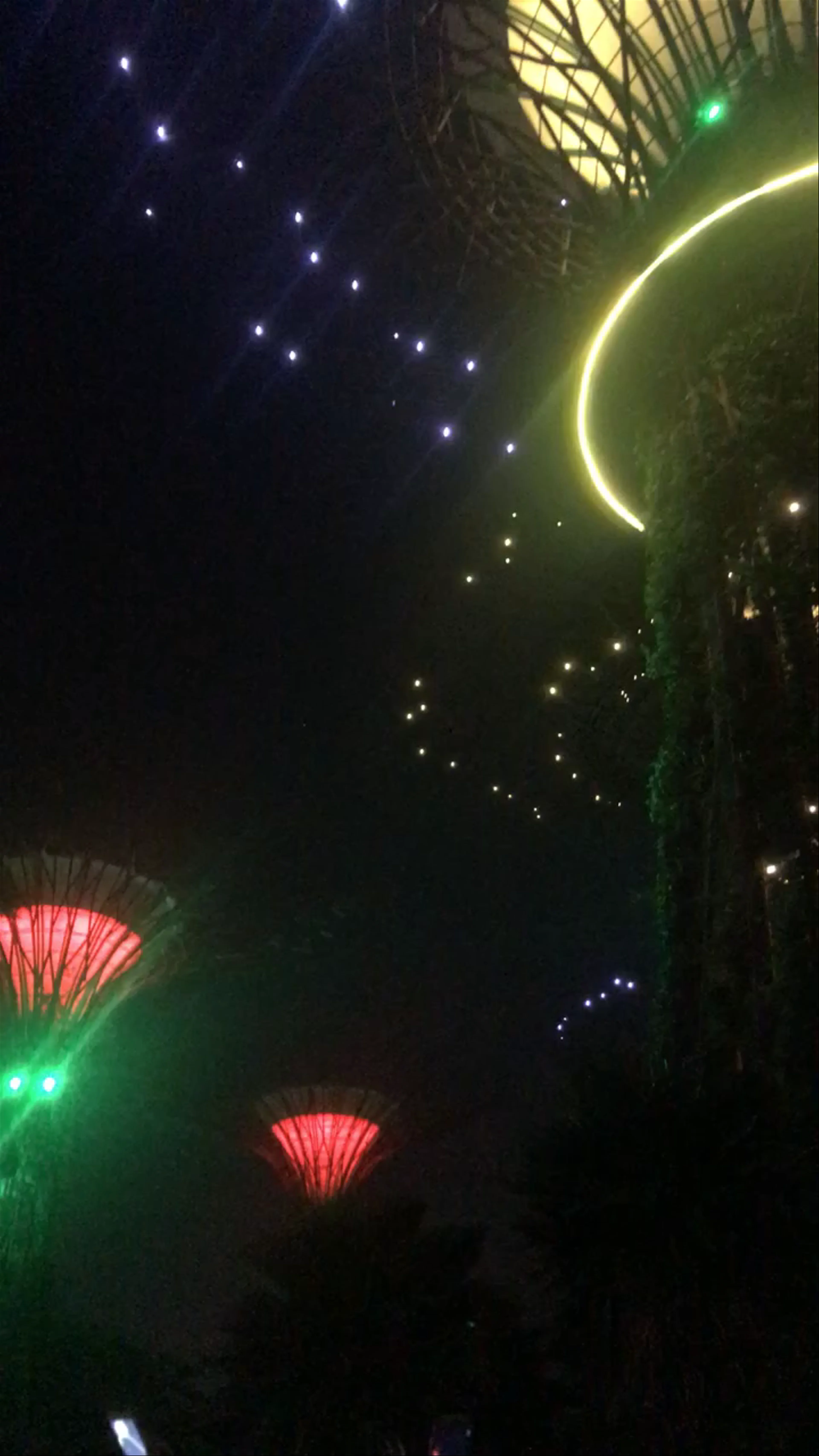 Marina Gardens Drive, Supertree Observatory