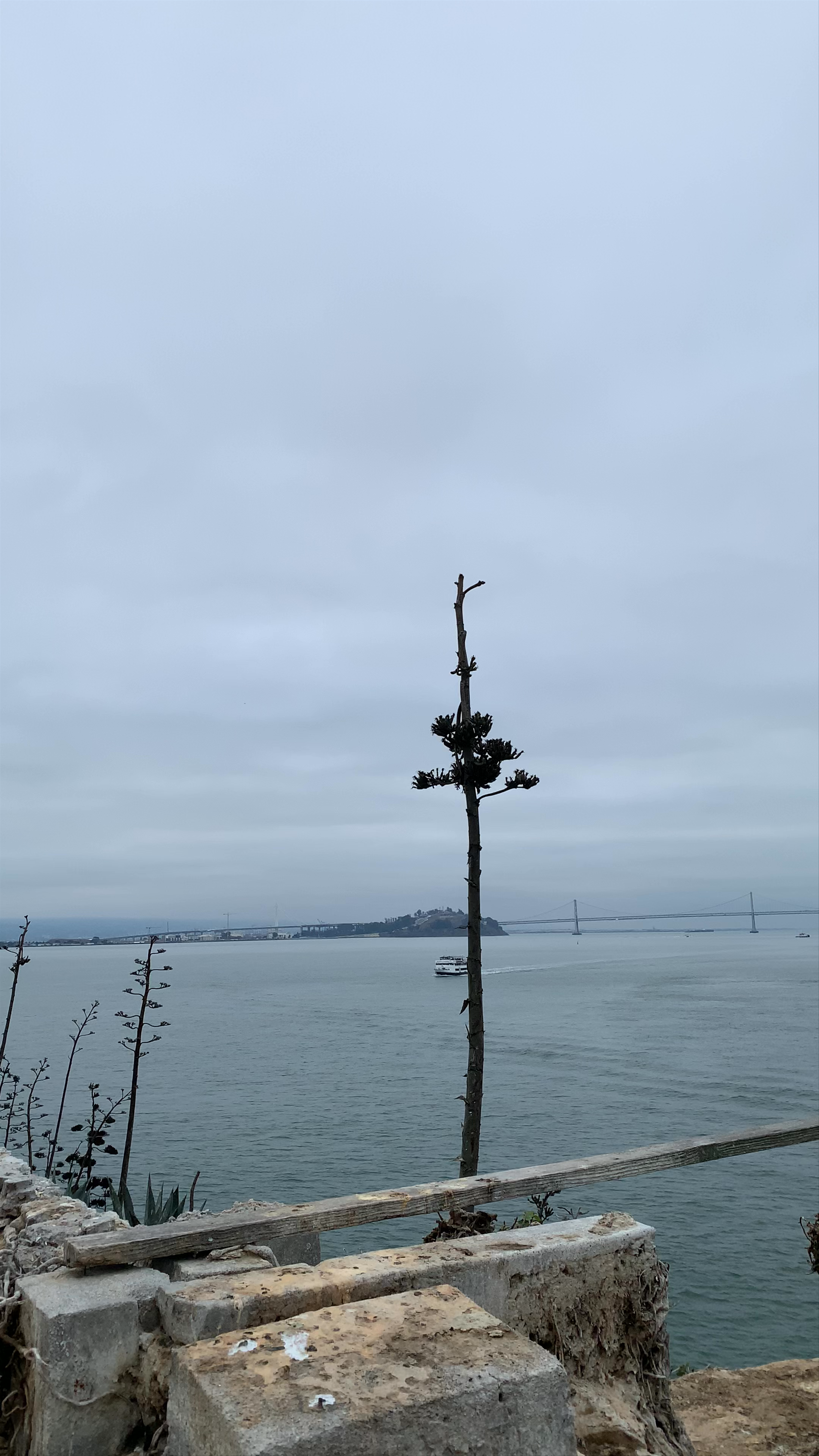 Exploring Alcatraz Island: Mysteries and Views from San Francisco Bay
