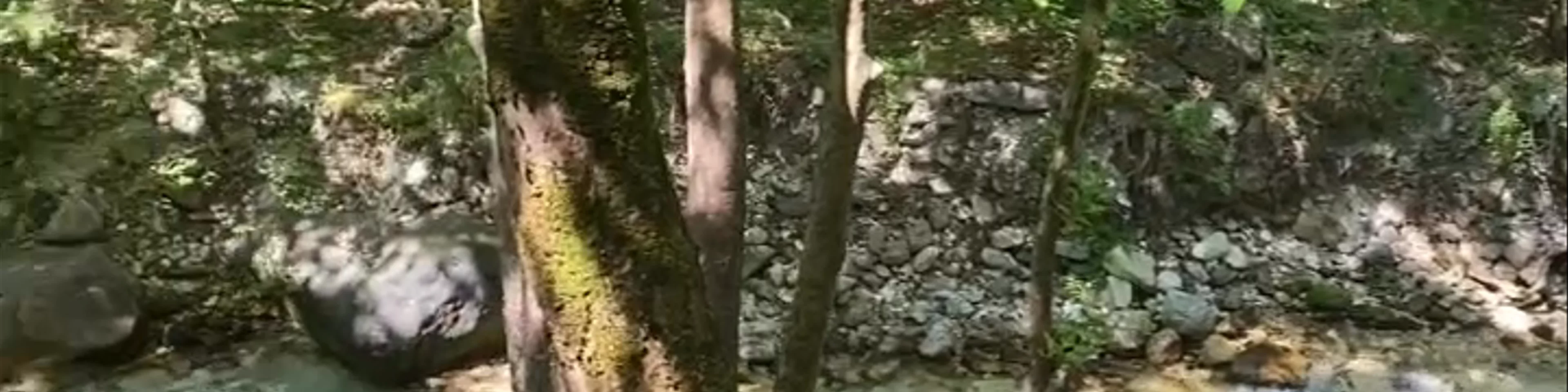 Νικ. ρέμα