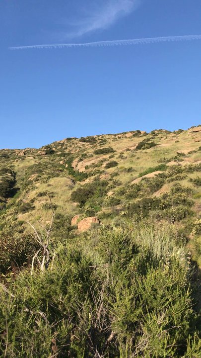 Corriganville Park - Dog Parks Near Me - Simi Valley, California