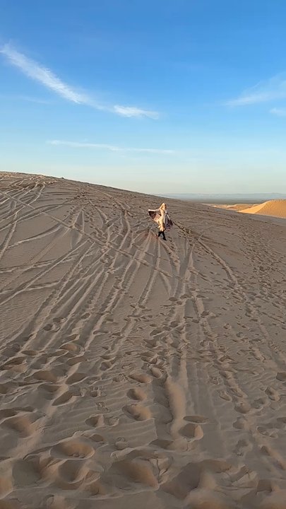 Imperial Sand Dunes Recreation Area - Recreation Centers Near Me - Brawley, California
