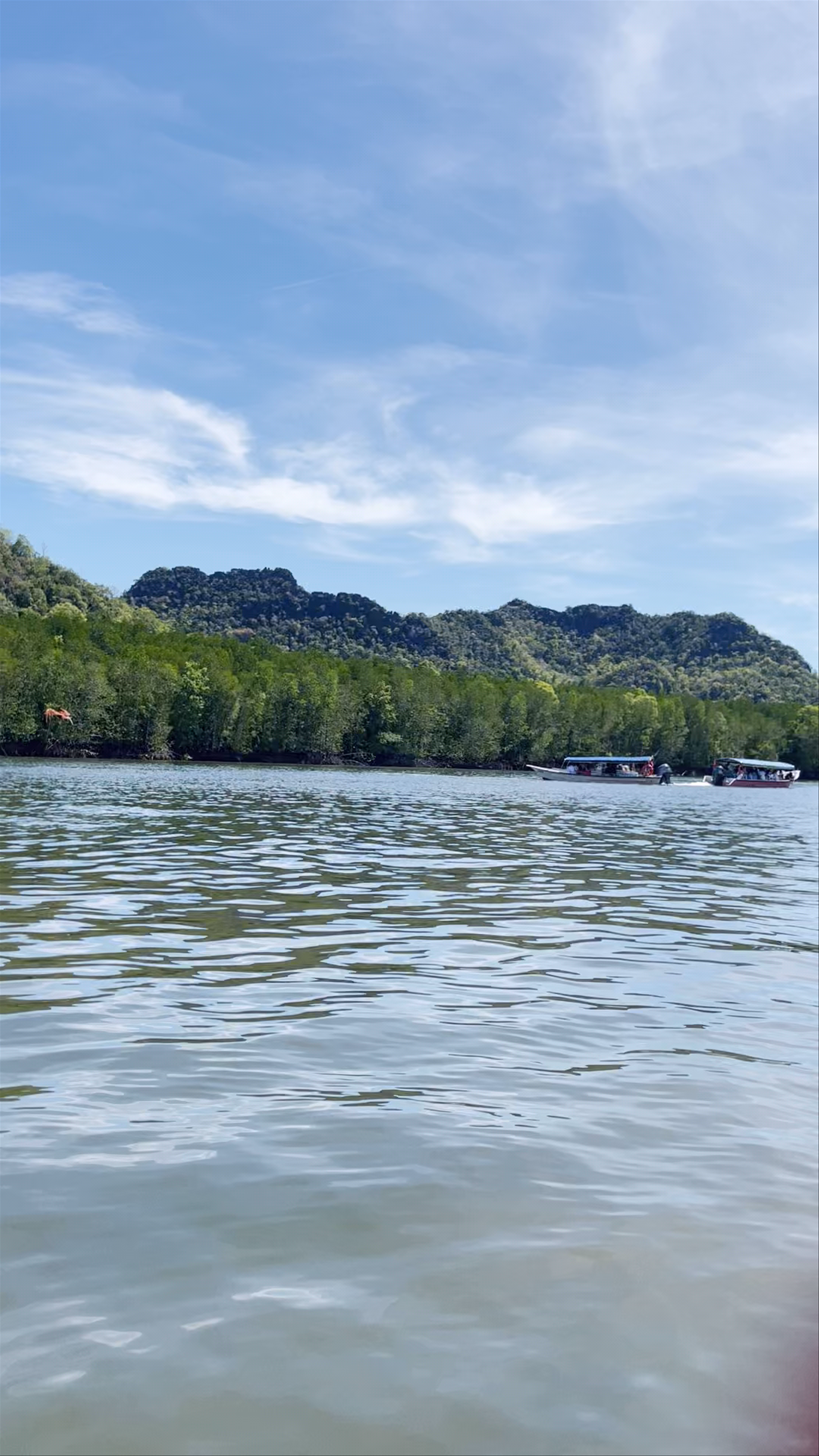 Eagle Feeding Point (Mangrove Tour)