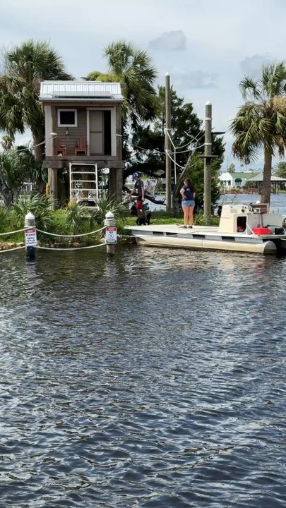 Monkey Island - Having Lunch at Florida Cracker Riverside Resort and watching the monkeys getting lunch. - Parks Near Me - Homosassa, Florida