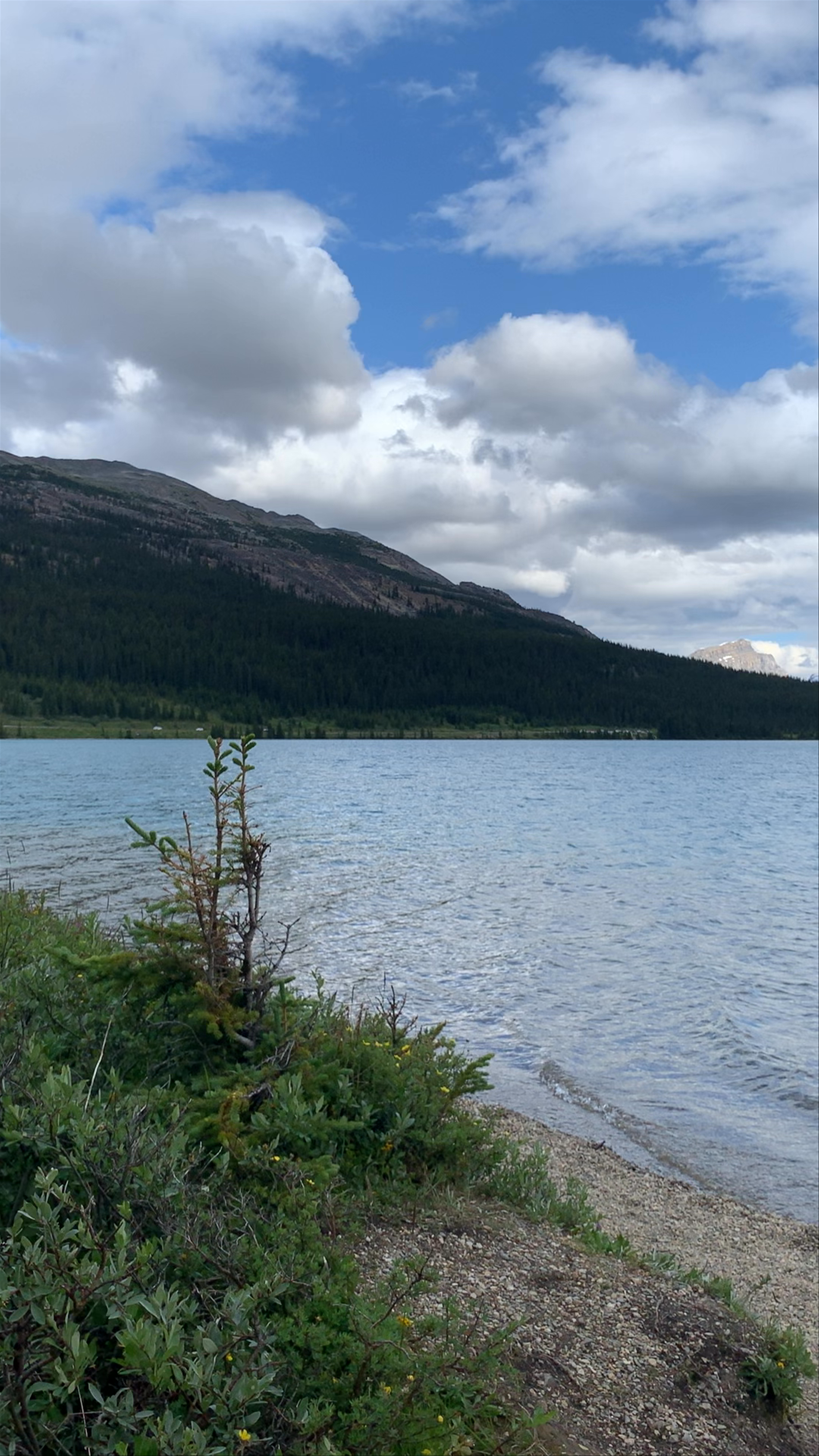 Bow Lake