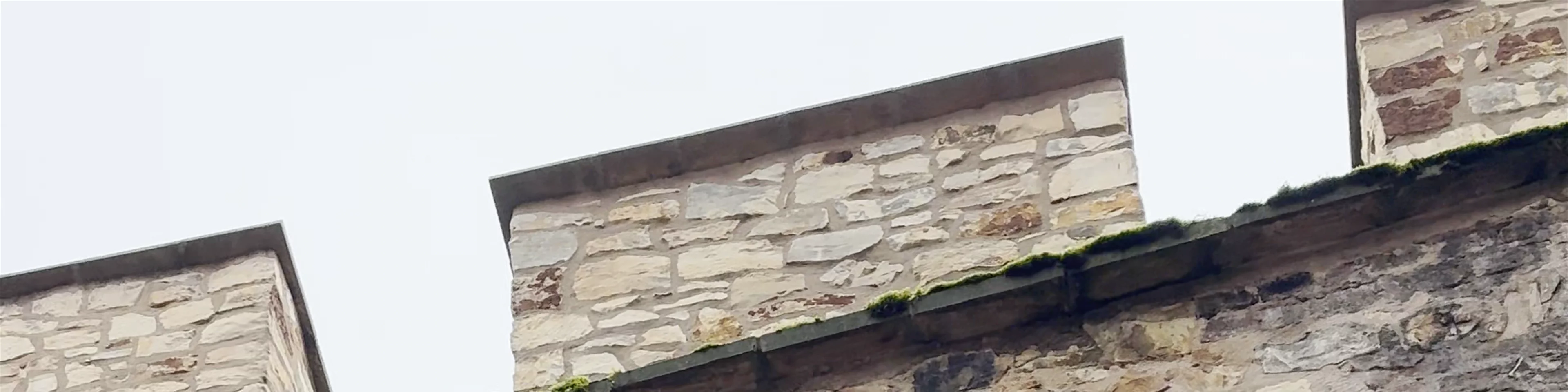 Hunger Wall