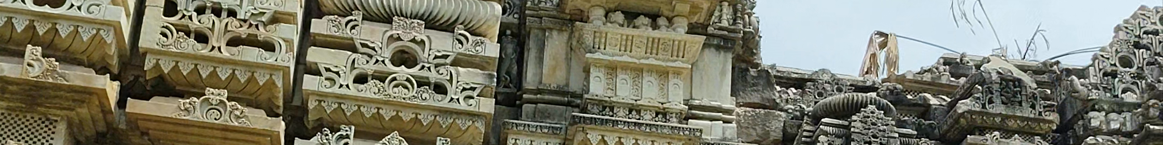 Tours & experiences in India