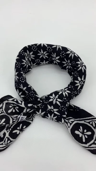 Preview image for video