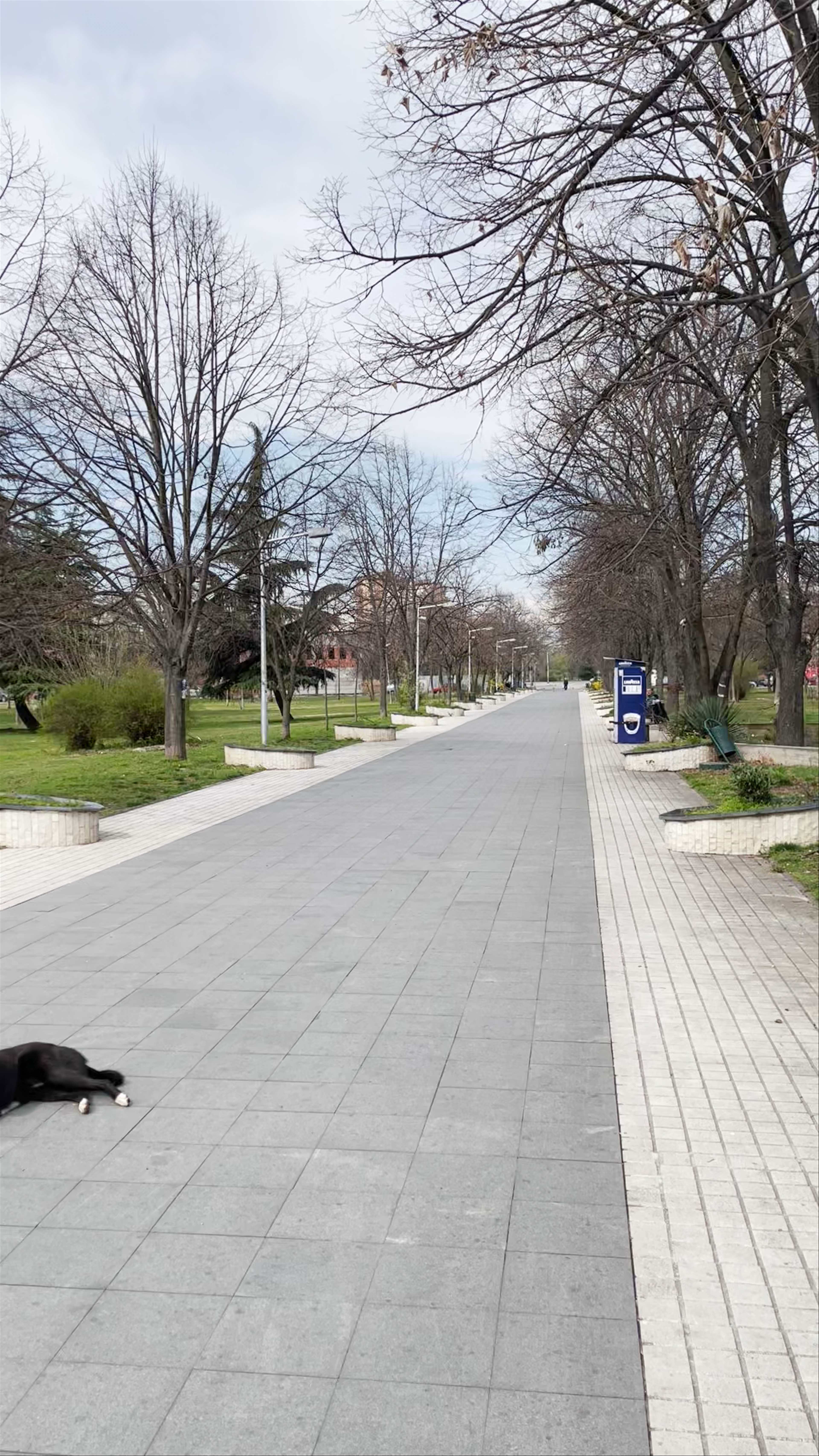 Memorial Park „Toše Proeski": A Serene Urban Escape in Skopje