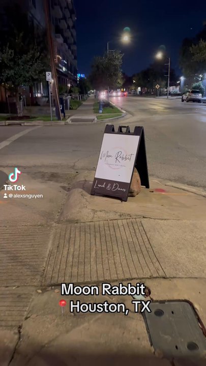 Moon Rabbit - Vietnamese Near Me - Houston, Texas