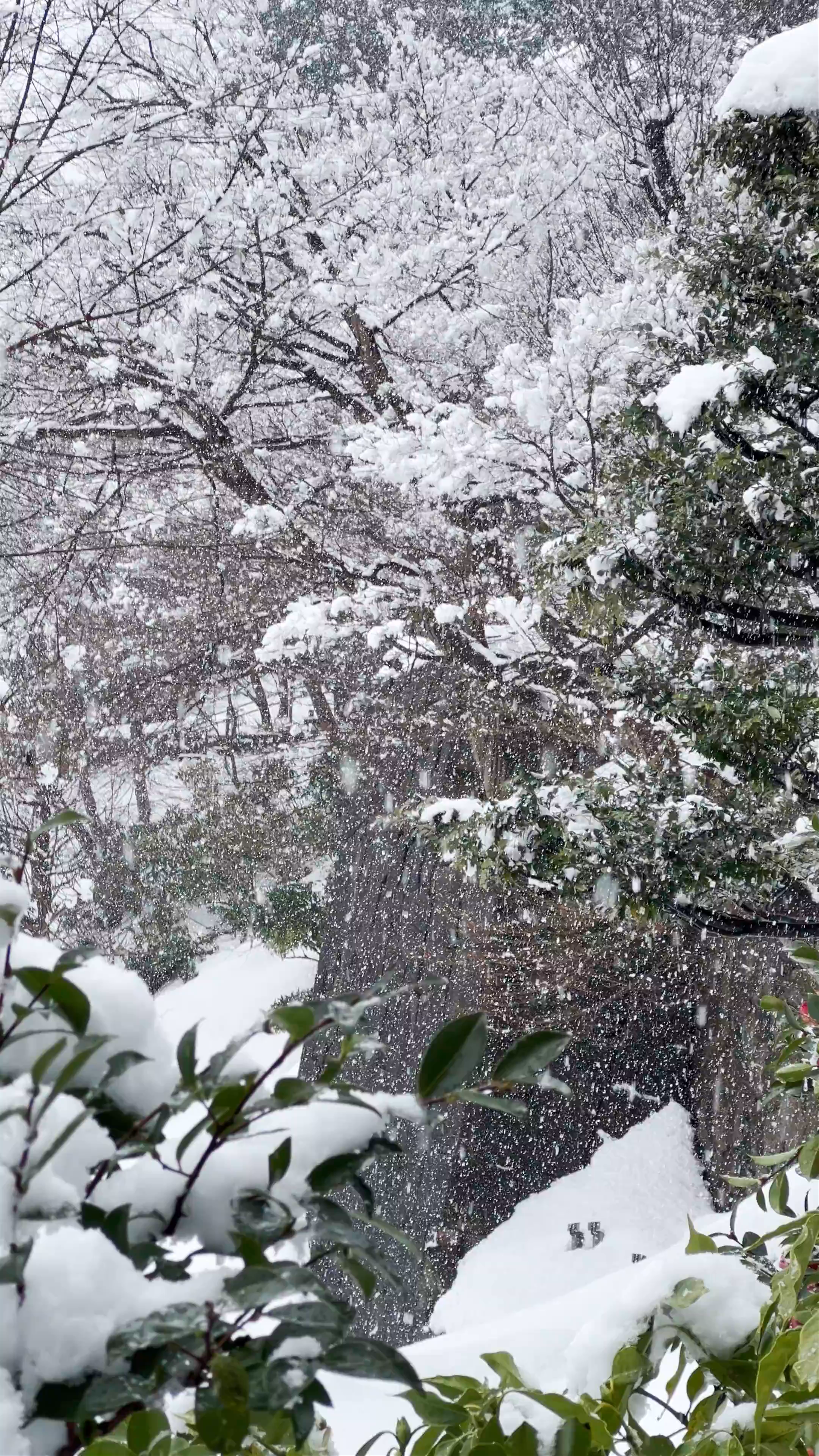 Gyokusen-inmaru Garden