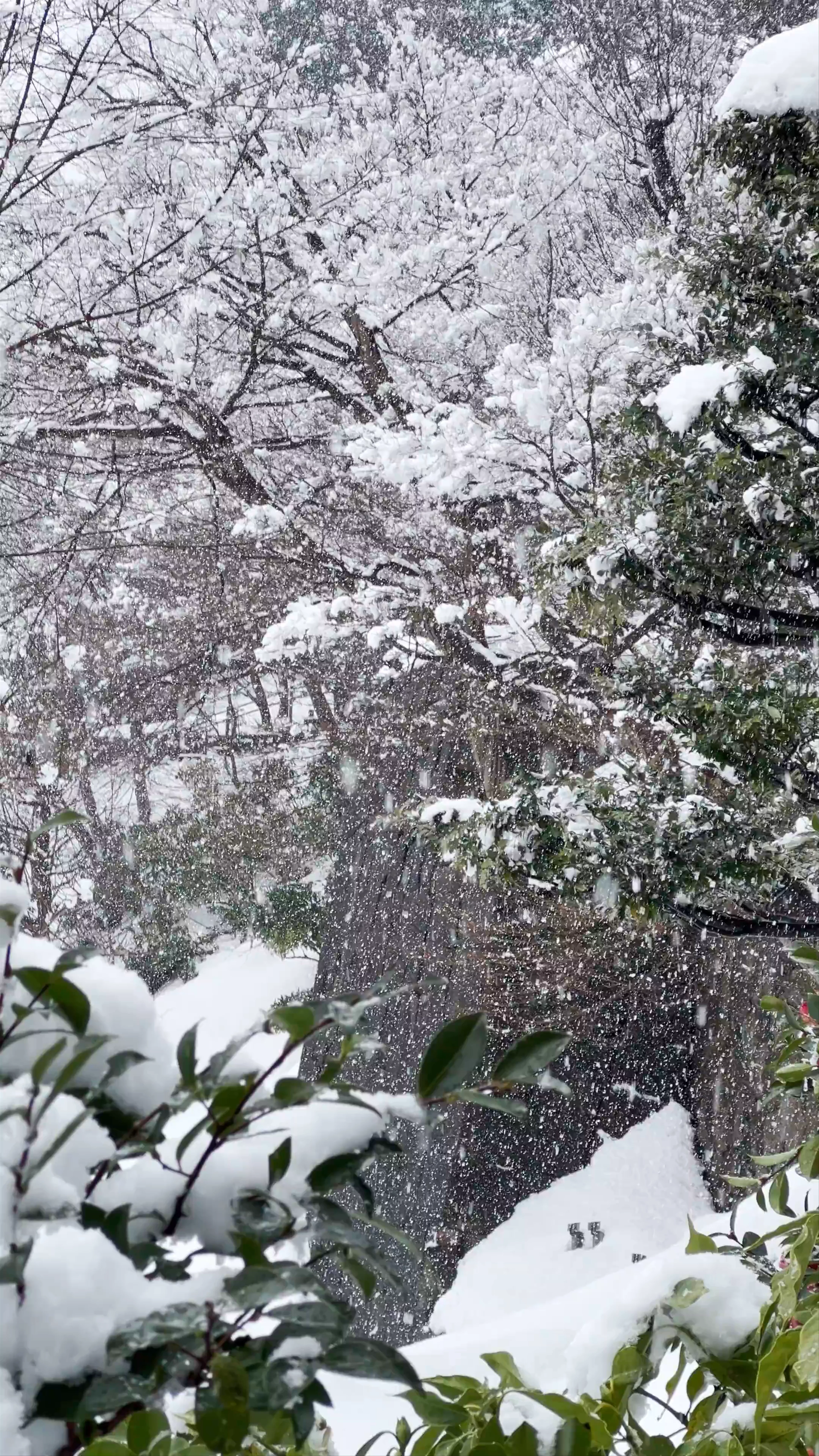 Gyokusen-inmaru Garden