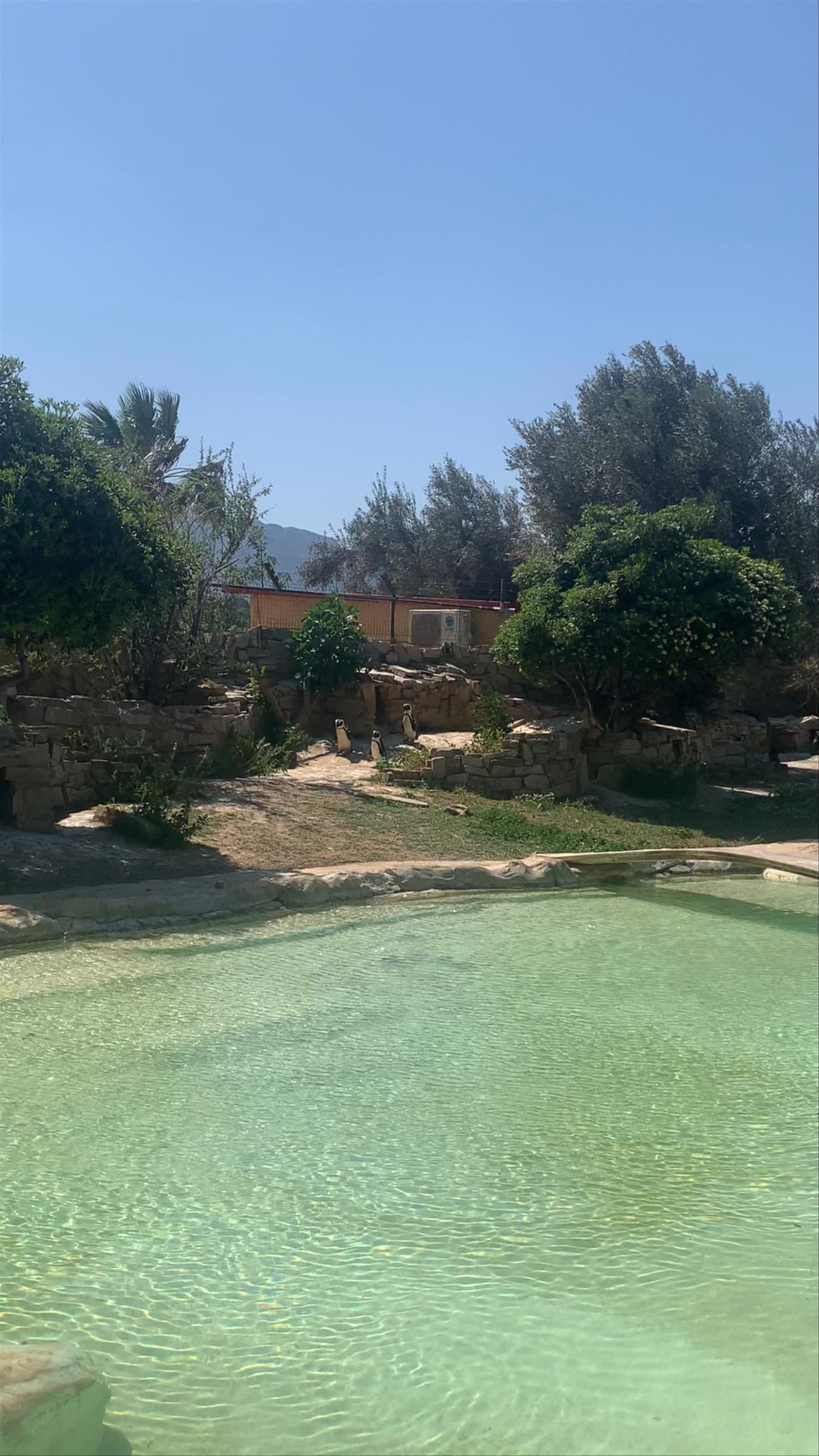 Attica Zoological Park: A Sunny Day with Penguins in Athens