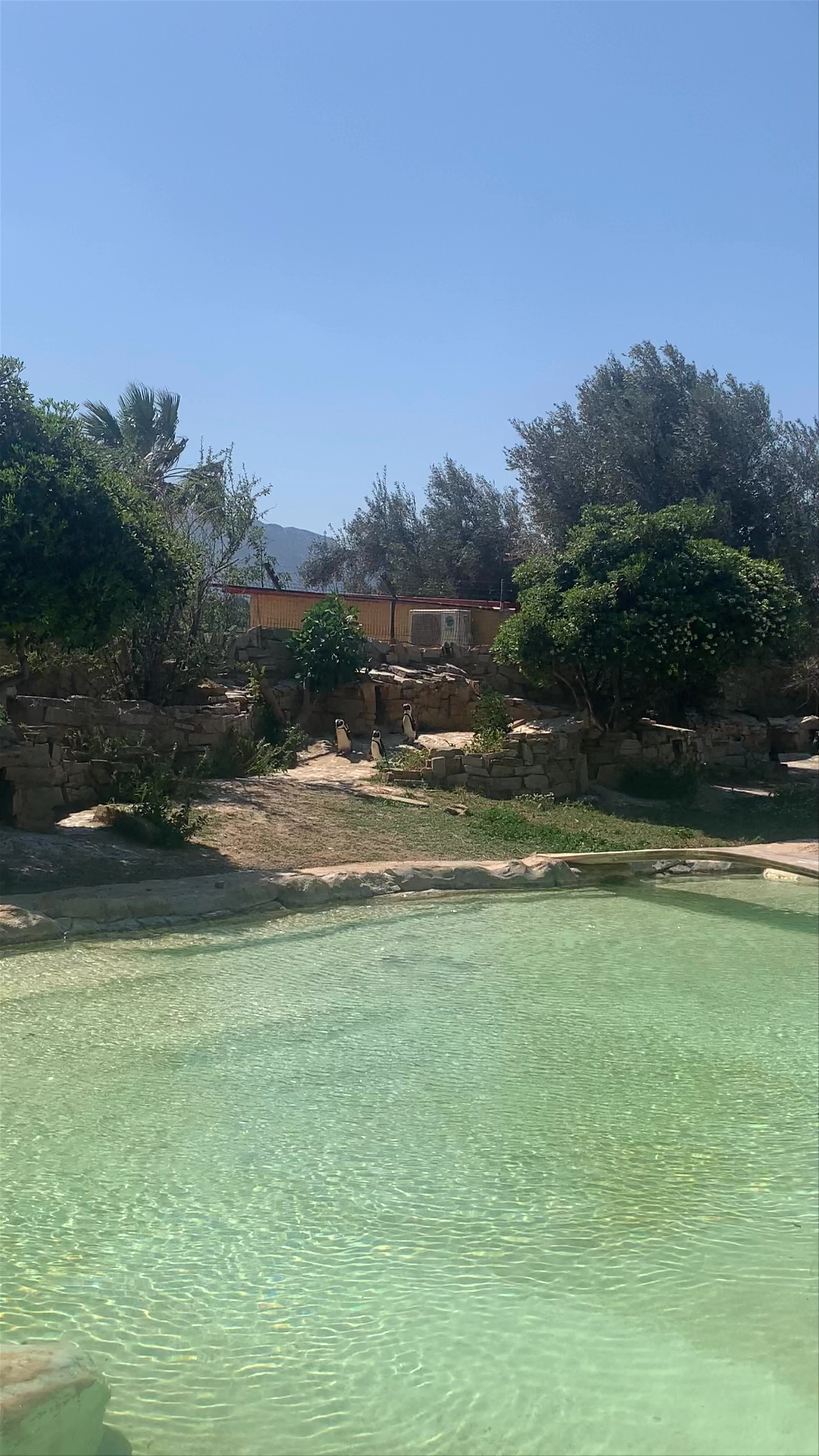 Attica Zoological Park