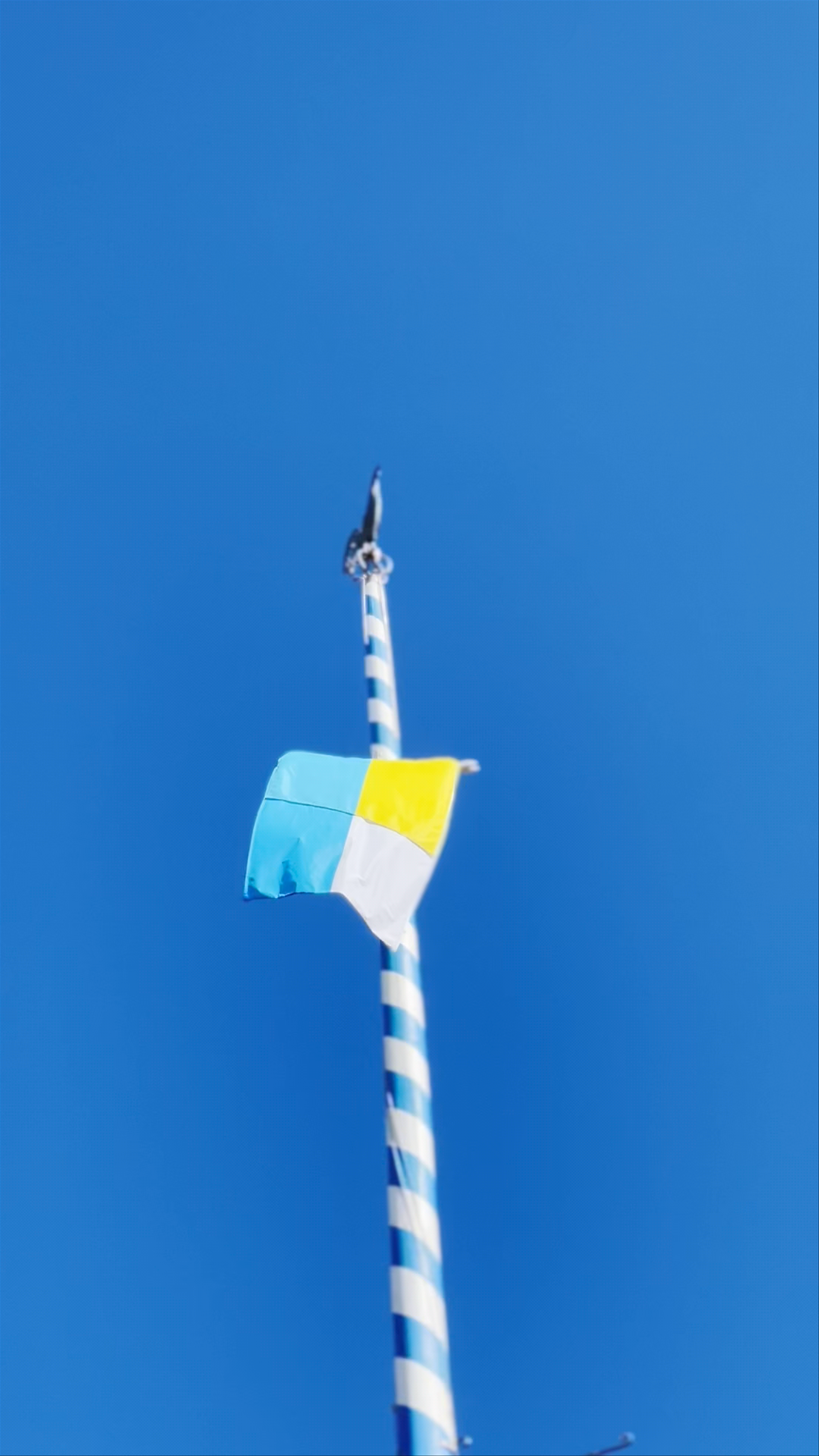 Wiener Platz Maypole: A Bavarian Cultural Icon in Munich