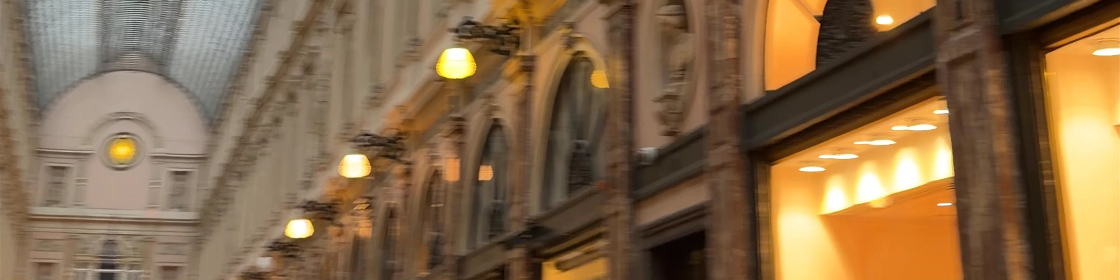 Royal Gallery of Saint Hubert