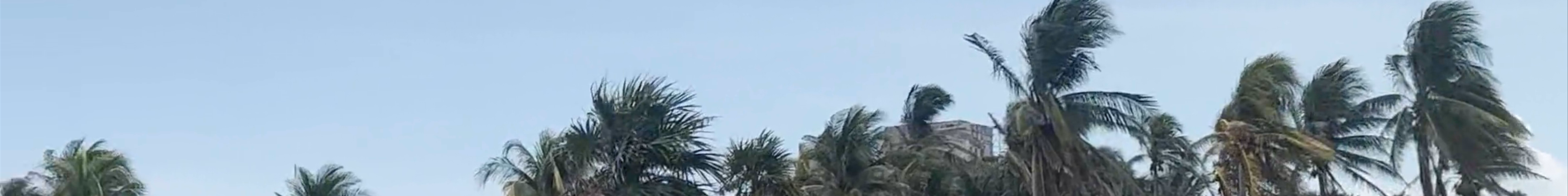 Tours & experiences in Tulum