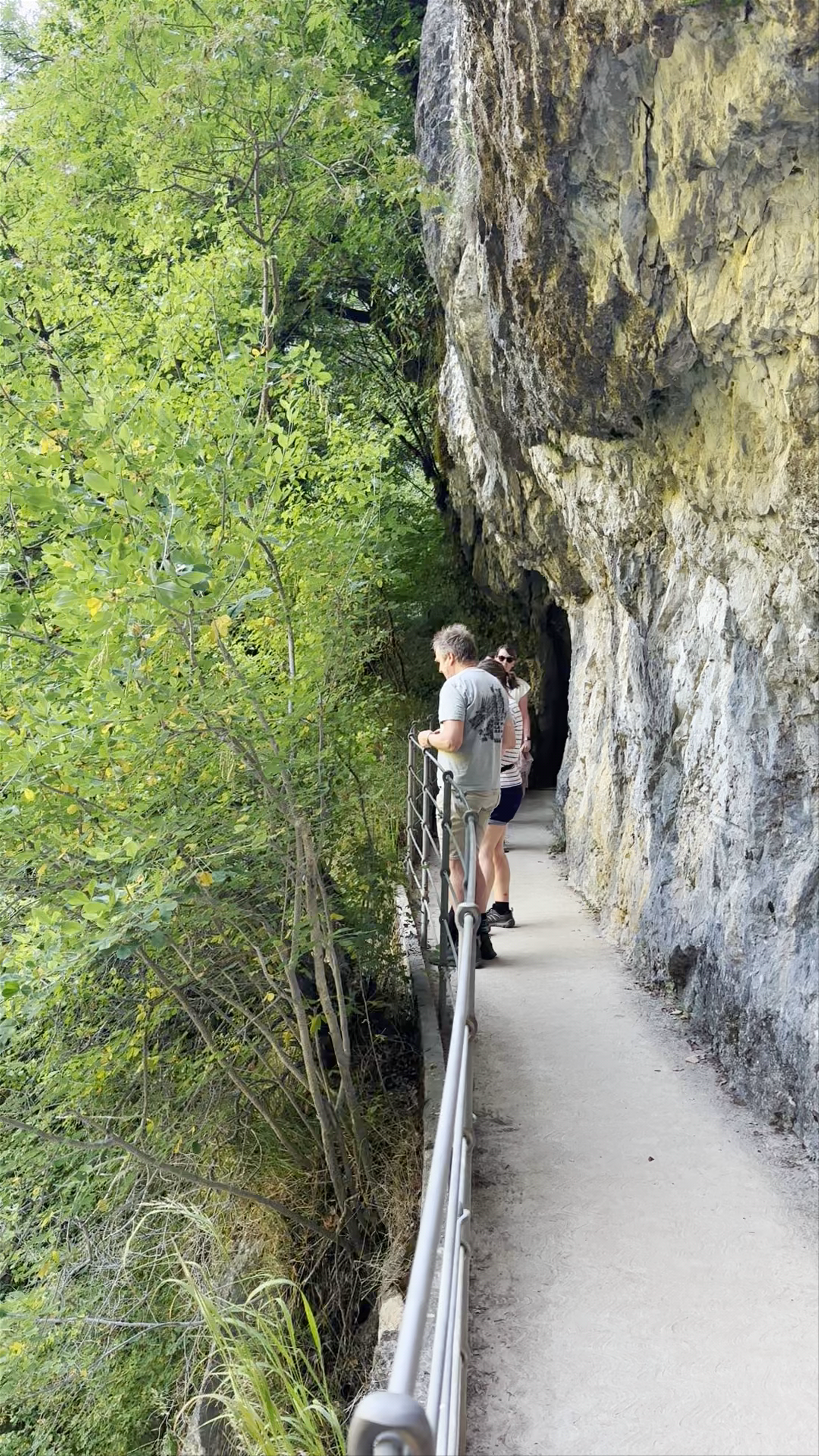 Razgledna točka na Park Škocjanske jame