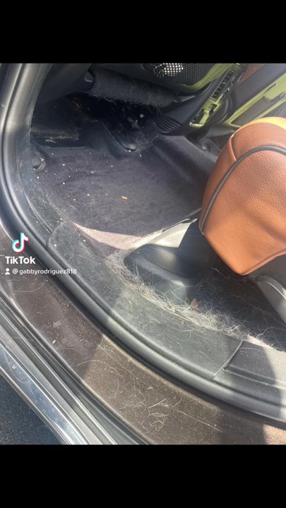 Elite Mobile Detail And Paint - Hair removal beautiful Jeep interior detail shampoo carpet - Auto Detailing Near Me - Frederick, Maryland
