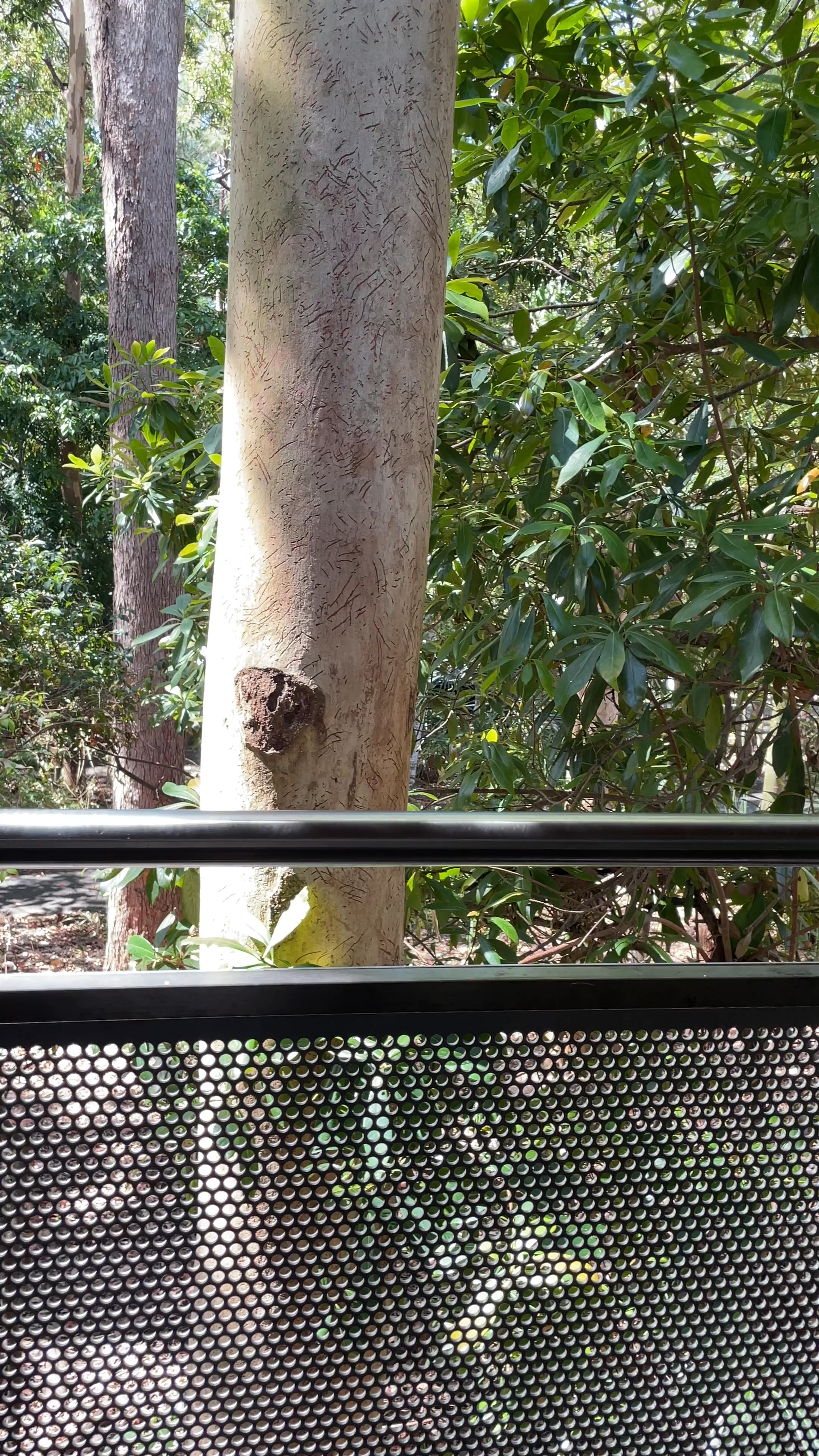 Walkabout Creek Cafe & Events