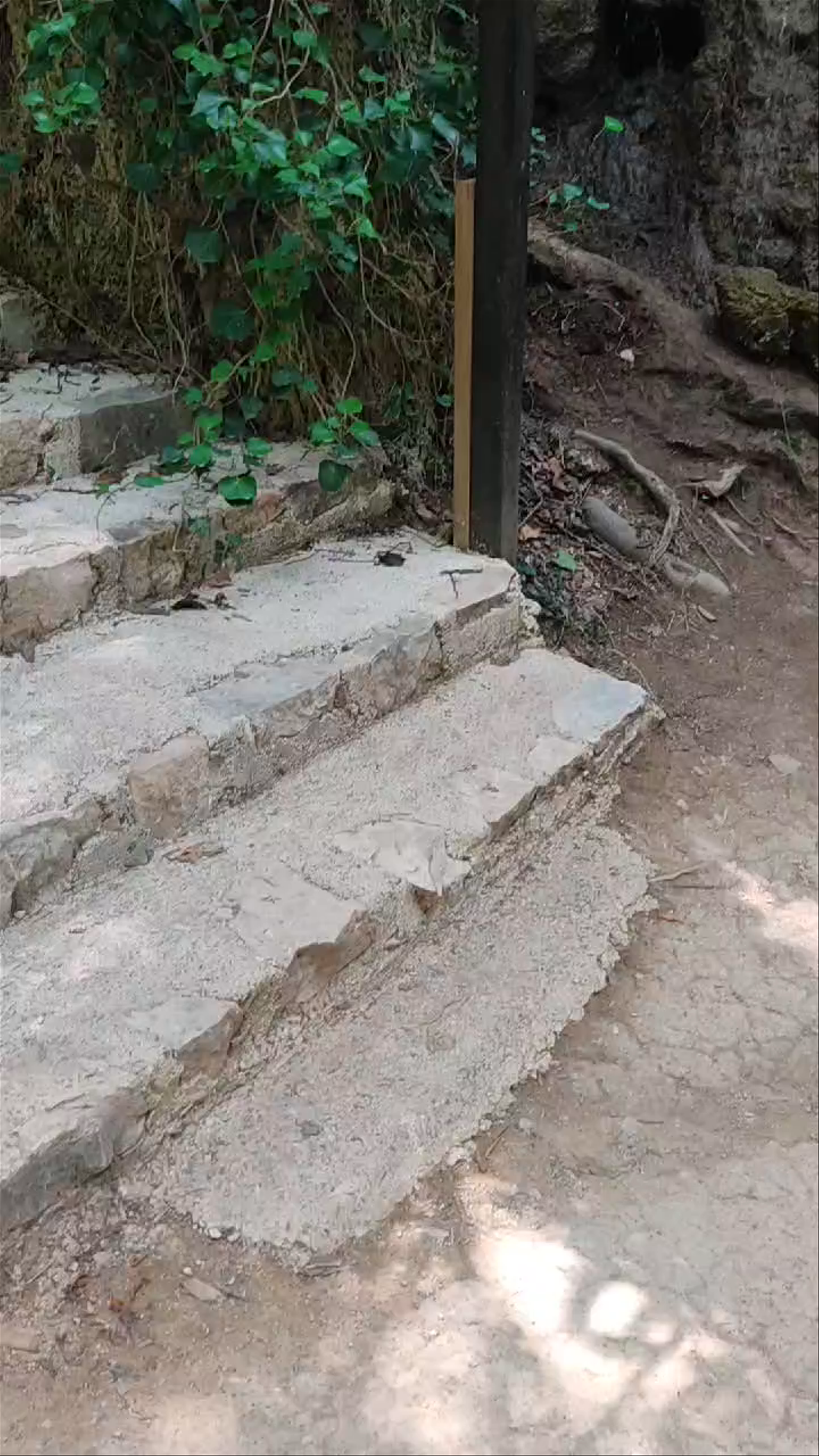 Serene Nature Walk at Monasterio de Piedra Waterfalls, Nuévalos, Spain