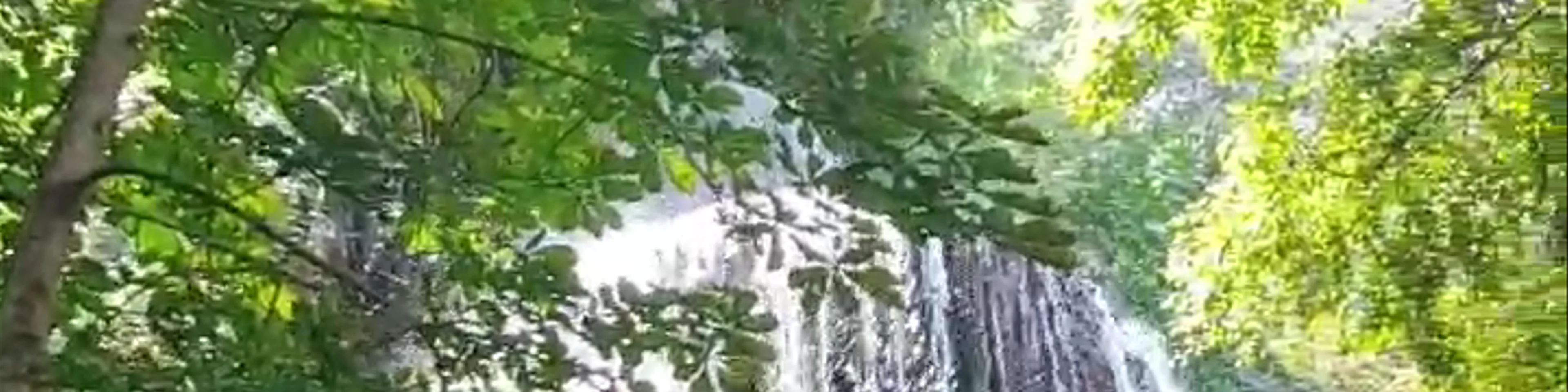 Monasterio de Piedra